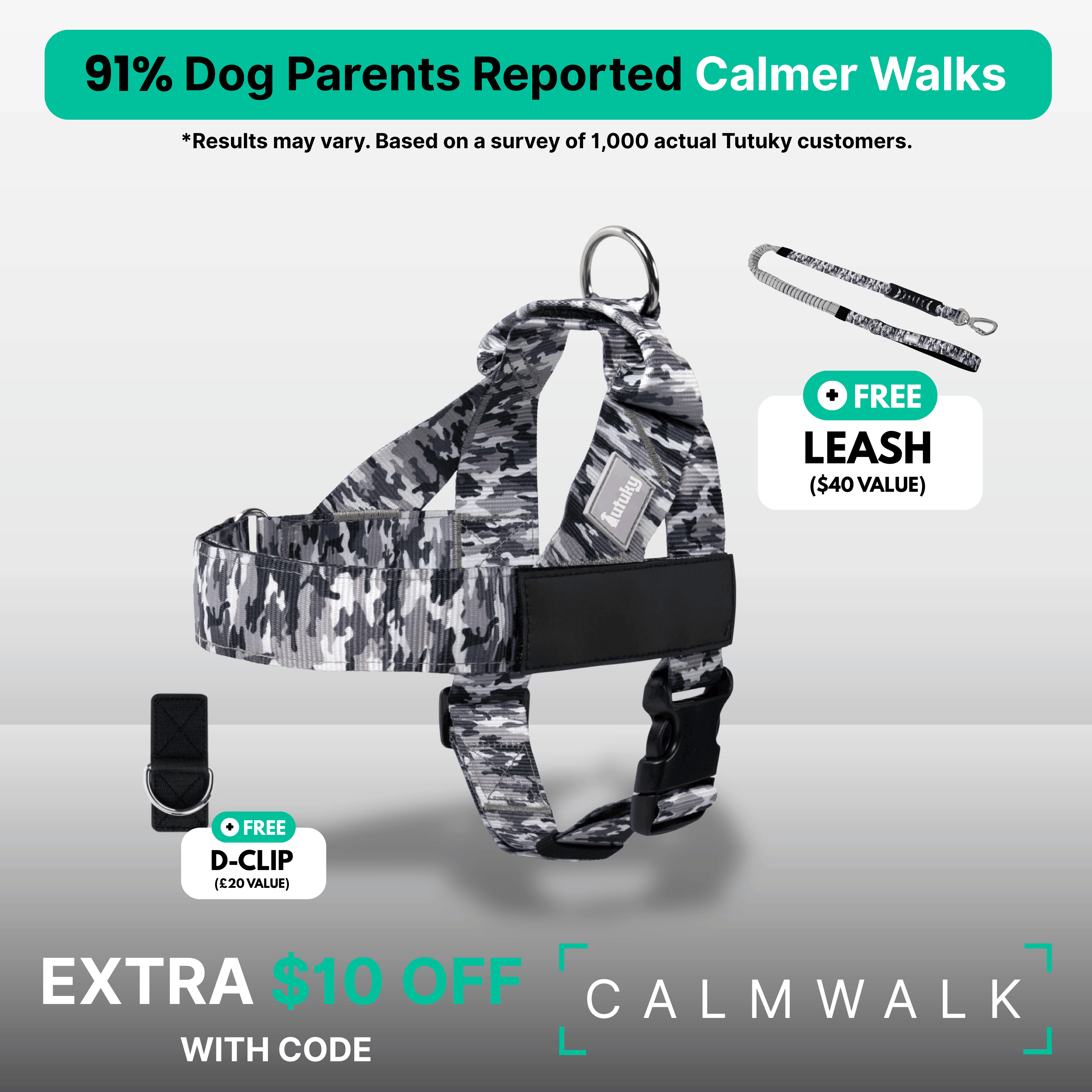 Dog Walking Mistakes to Avoid (and What Tools Can Help)