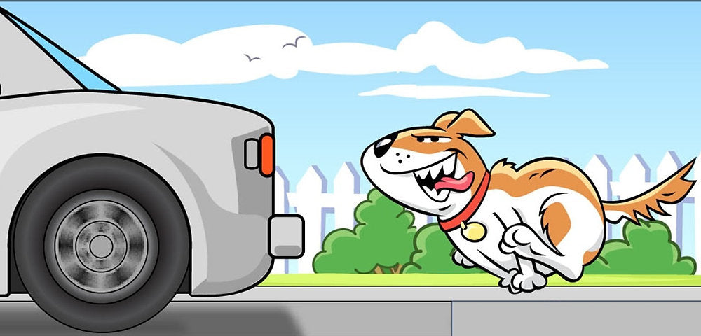 Why Does My Dog Chase Cars, Kids & Moving Objects?