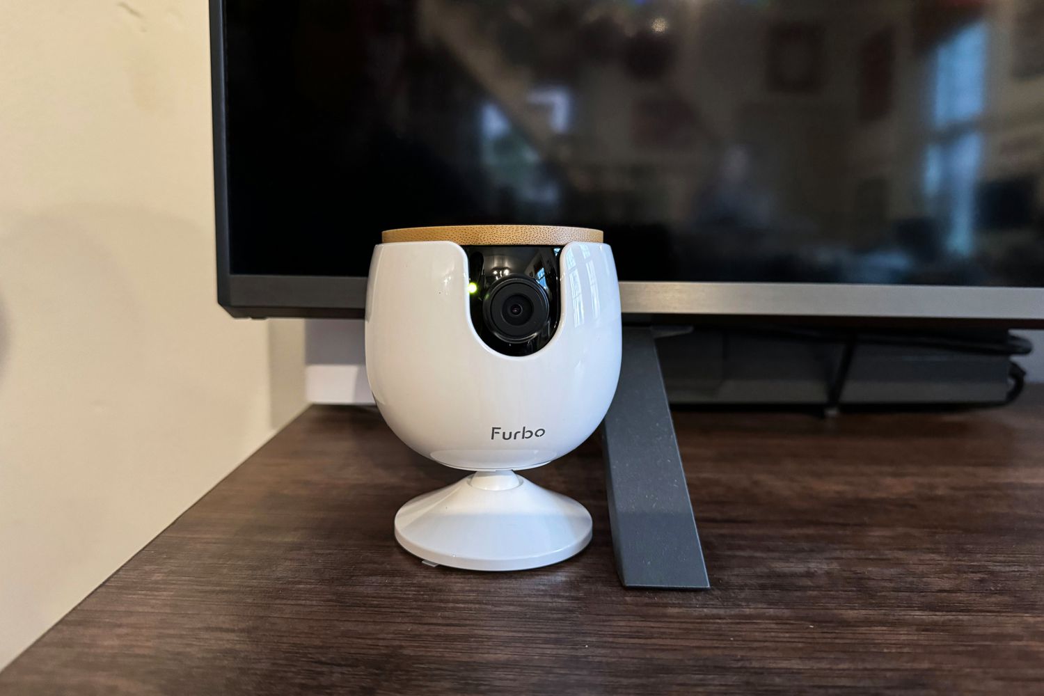 Best Pet Cameras: Top Picks for Keeping an Eye on Your Furry Friend