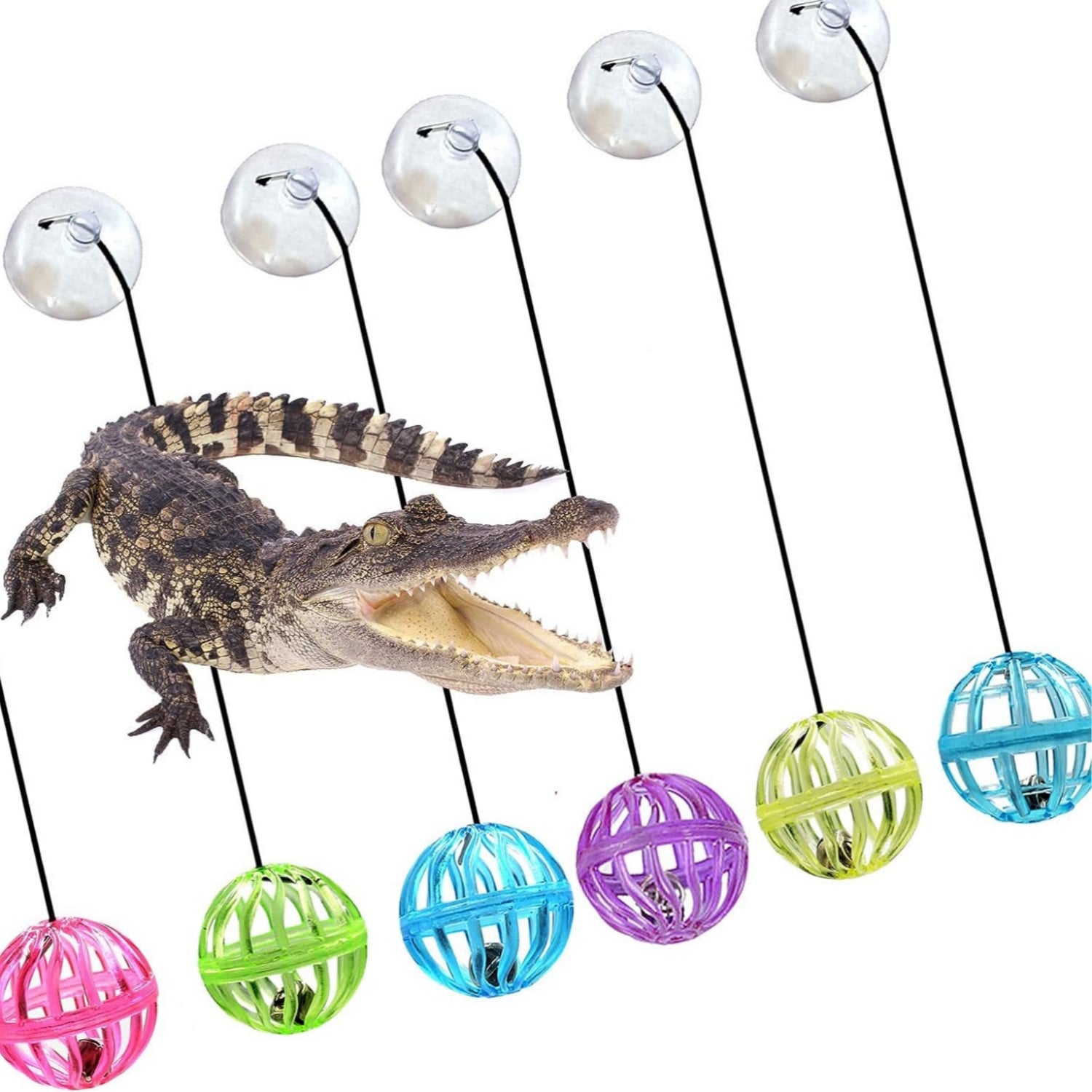 Reptile Lizard Toy Ball With Suction Cup And Rope - Tutuky
