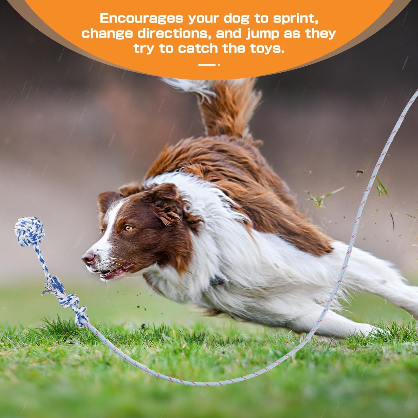 Extendable Flirt Pole for Dogs - Tutuky