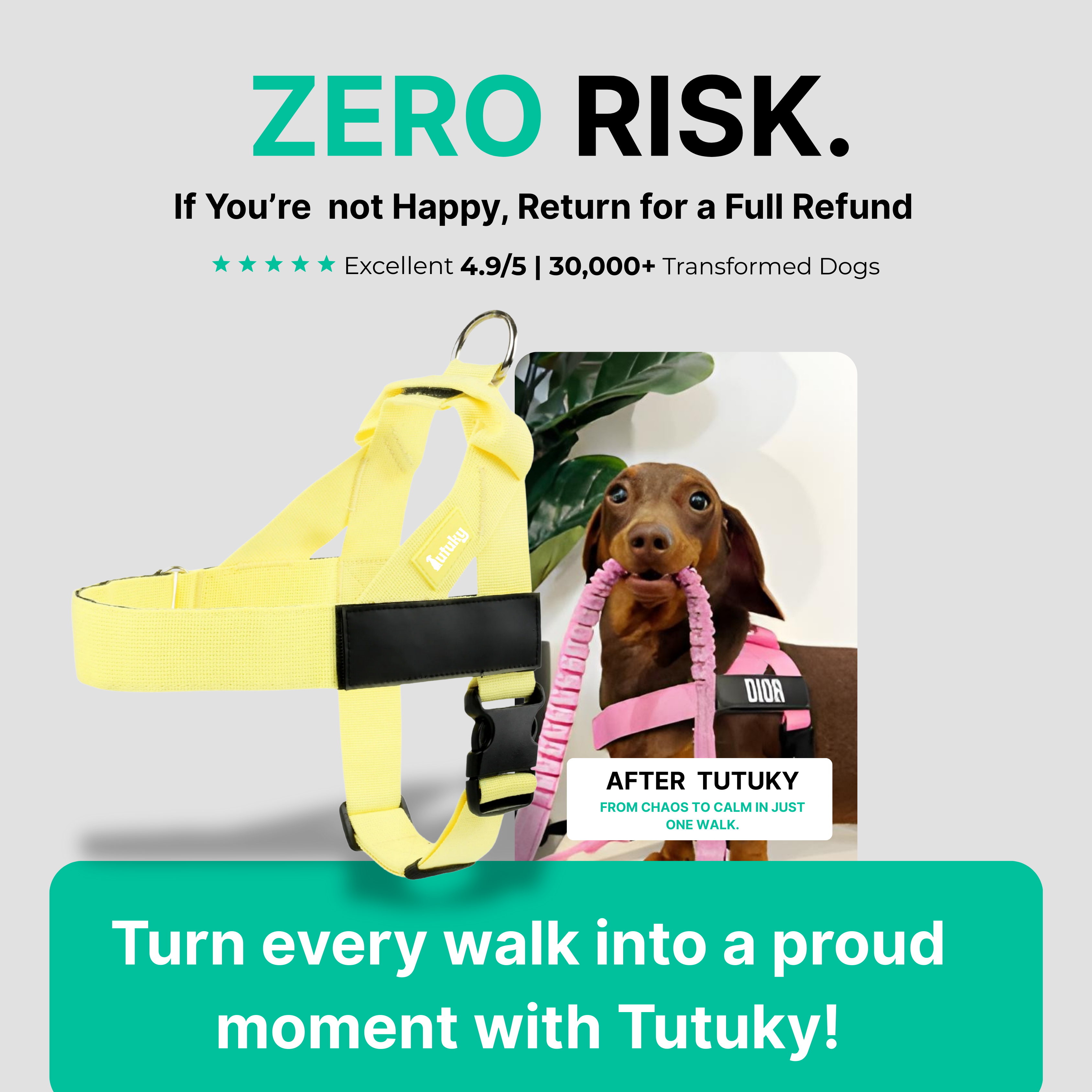 Stops Pulling Instantly – Enjoy Peaceful Walks Again - Tutuky