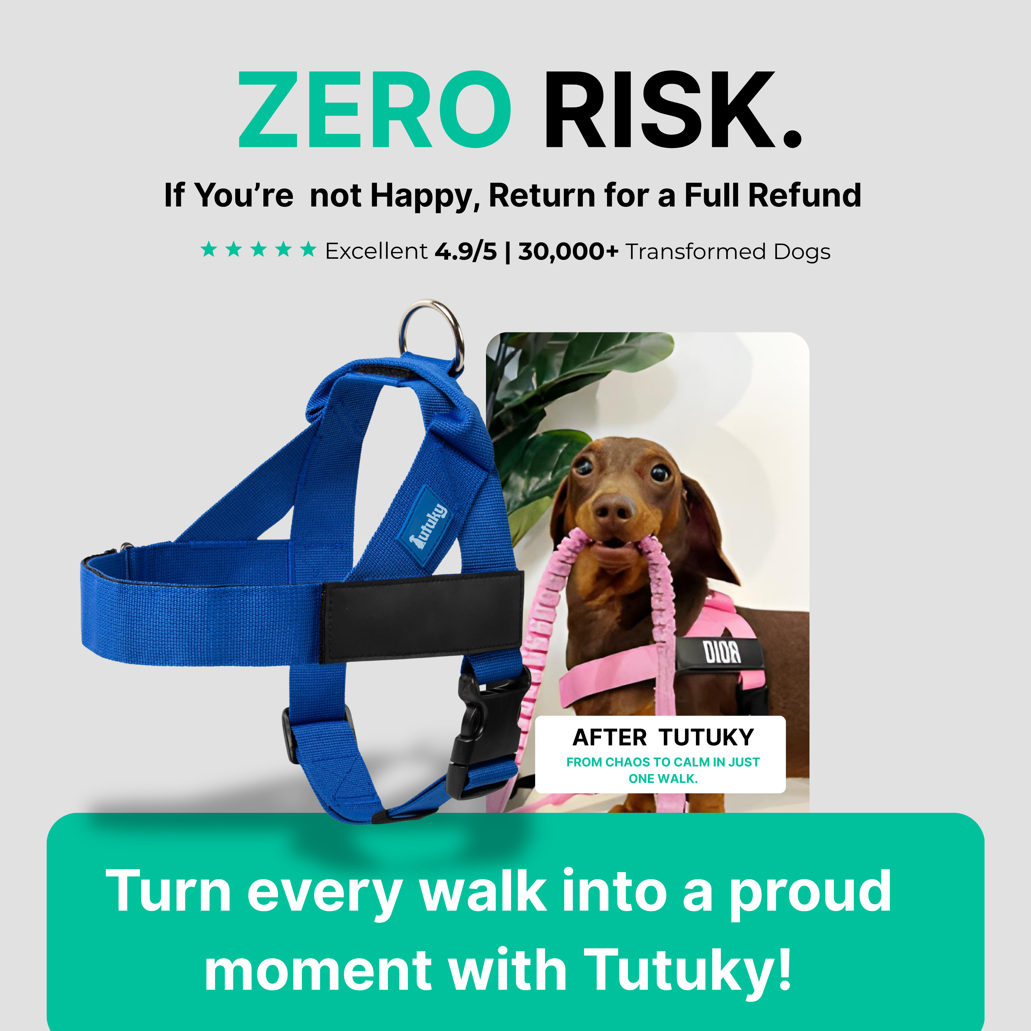 Stops Pulling Instantly – Enjoy Peaceful Walks Again - Tutuky
