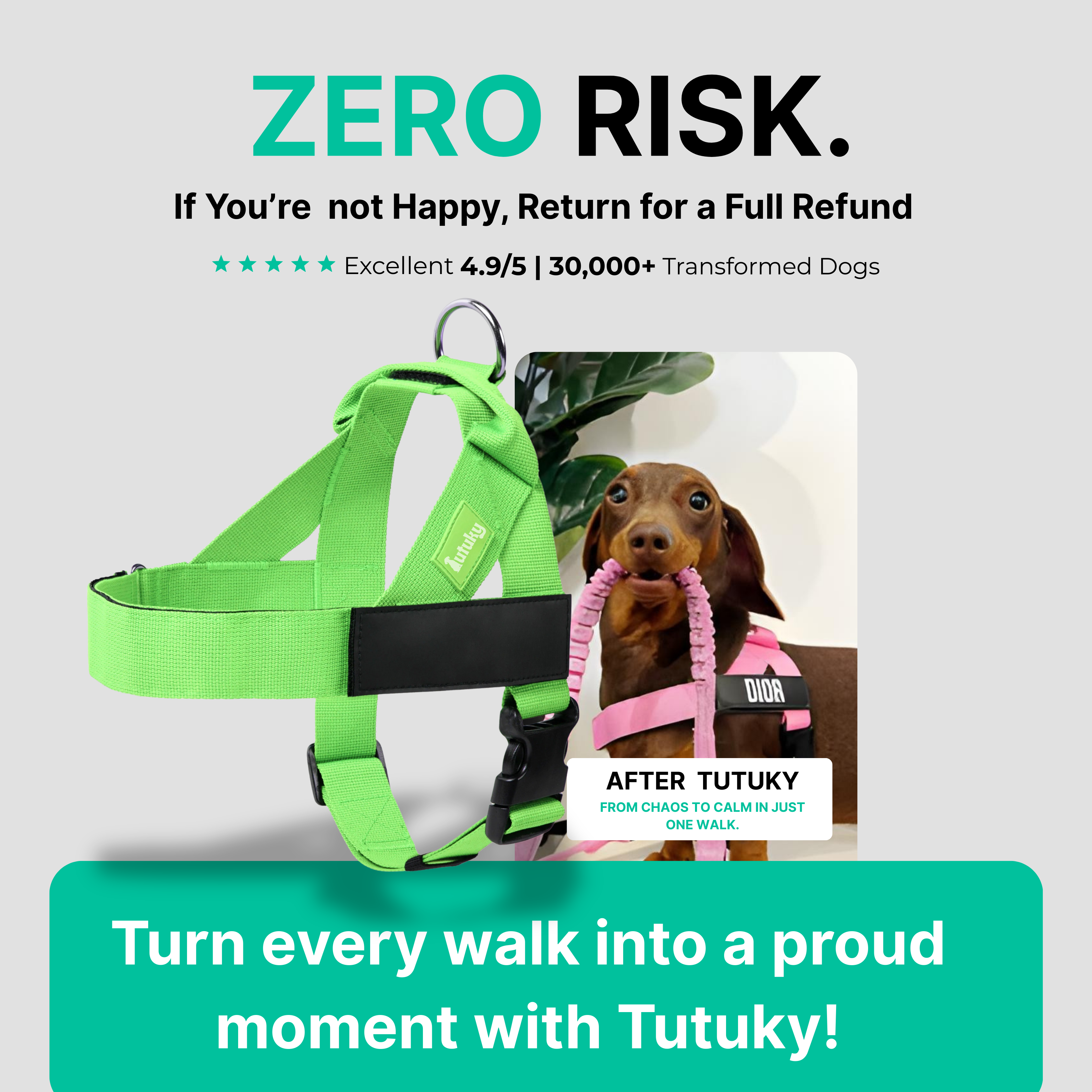 Stops Pulling Instantly – Enjoy Peaceful Walks Again - Tutuky