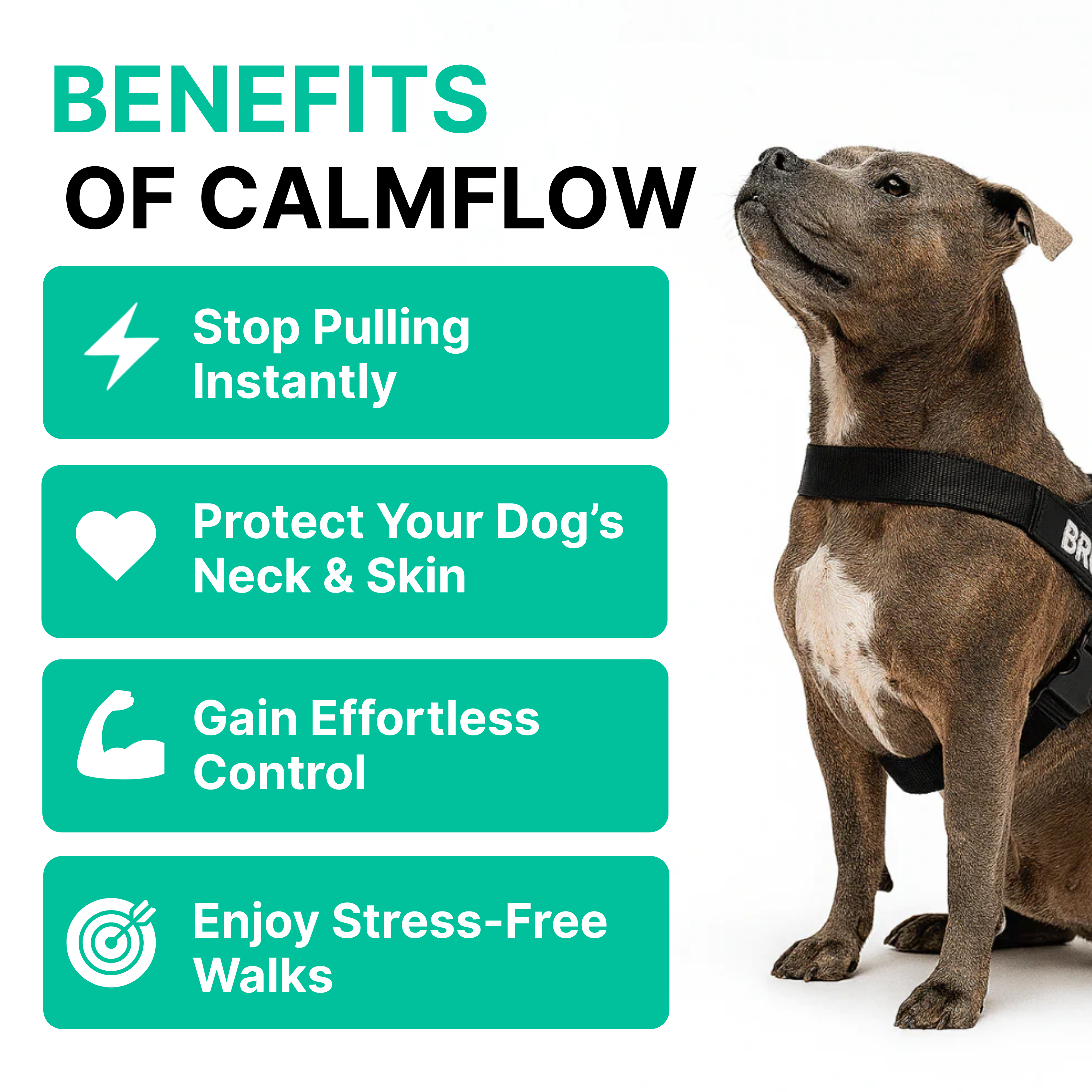 Stops Pulling Instantly – Enjoy Peaceful Walks Again