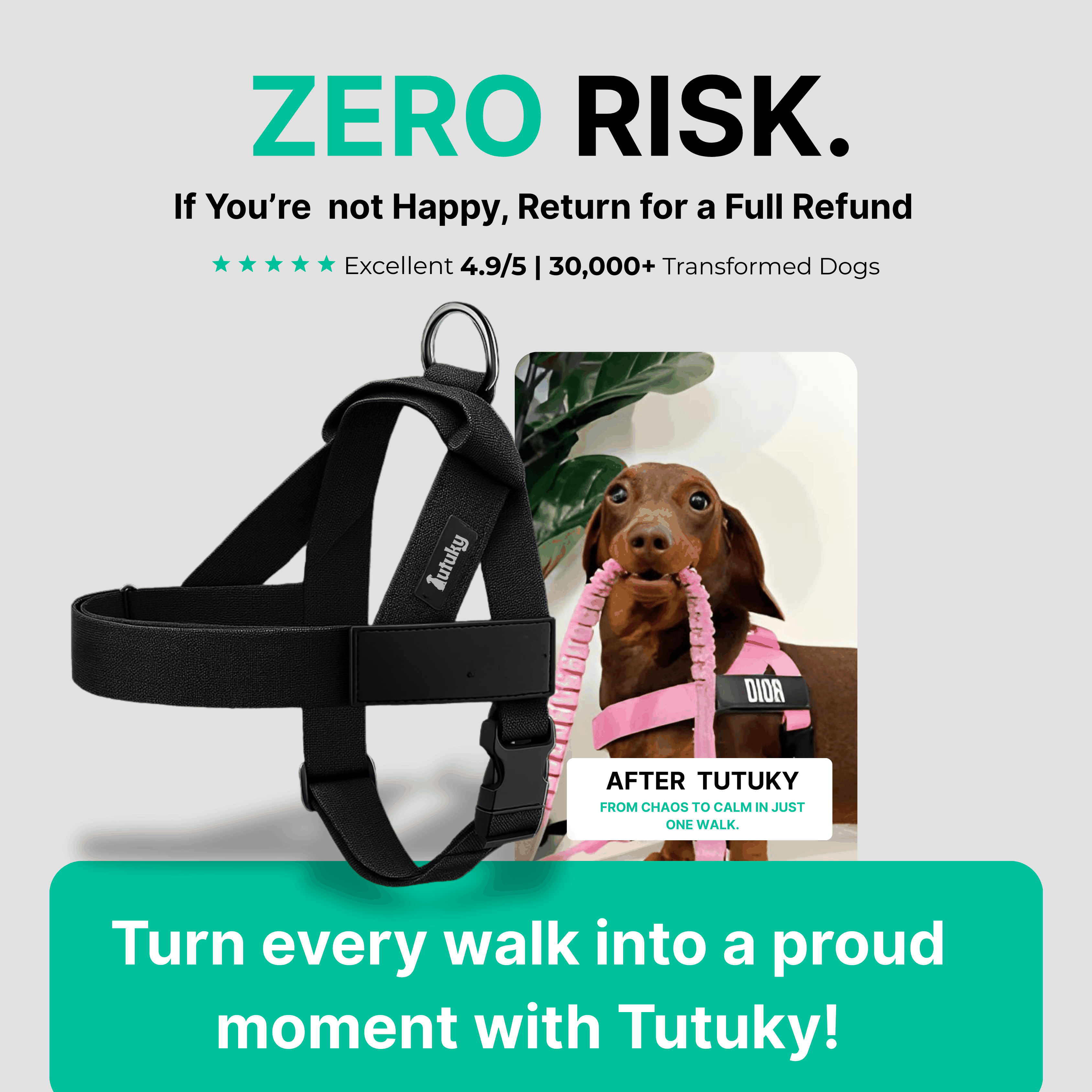 Stops Pulling Instantly – Enjoy Peaceful Walks Again - Tutuky