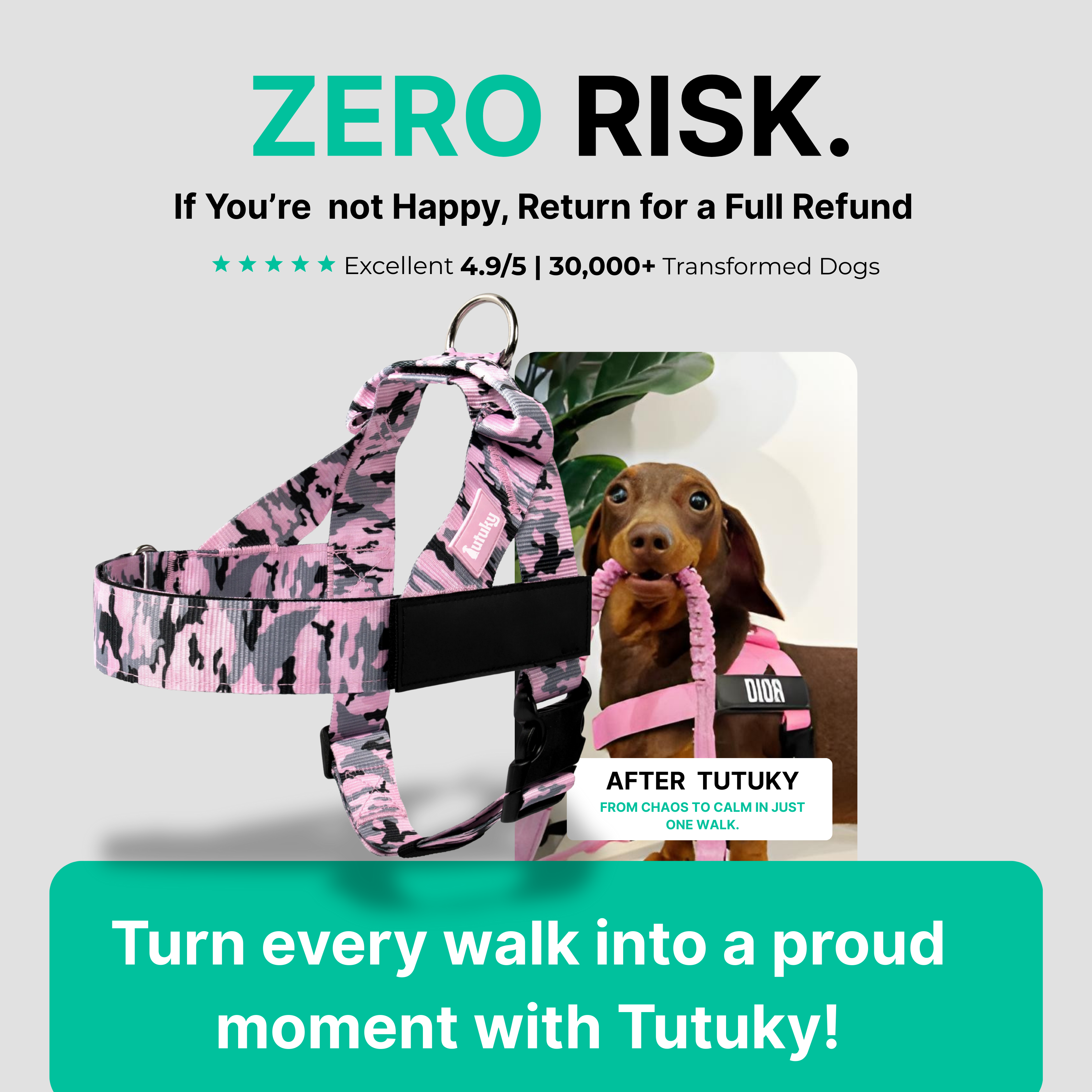 Stops Pulling Instantly – Enjoy Peaceful Walks Again - Tutuky