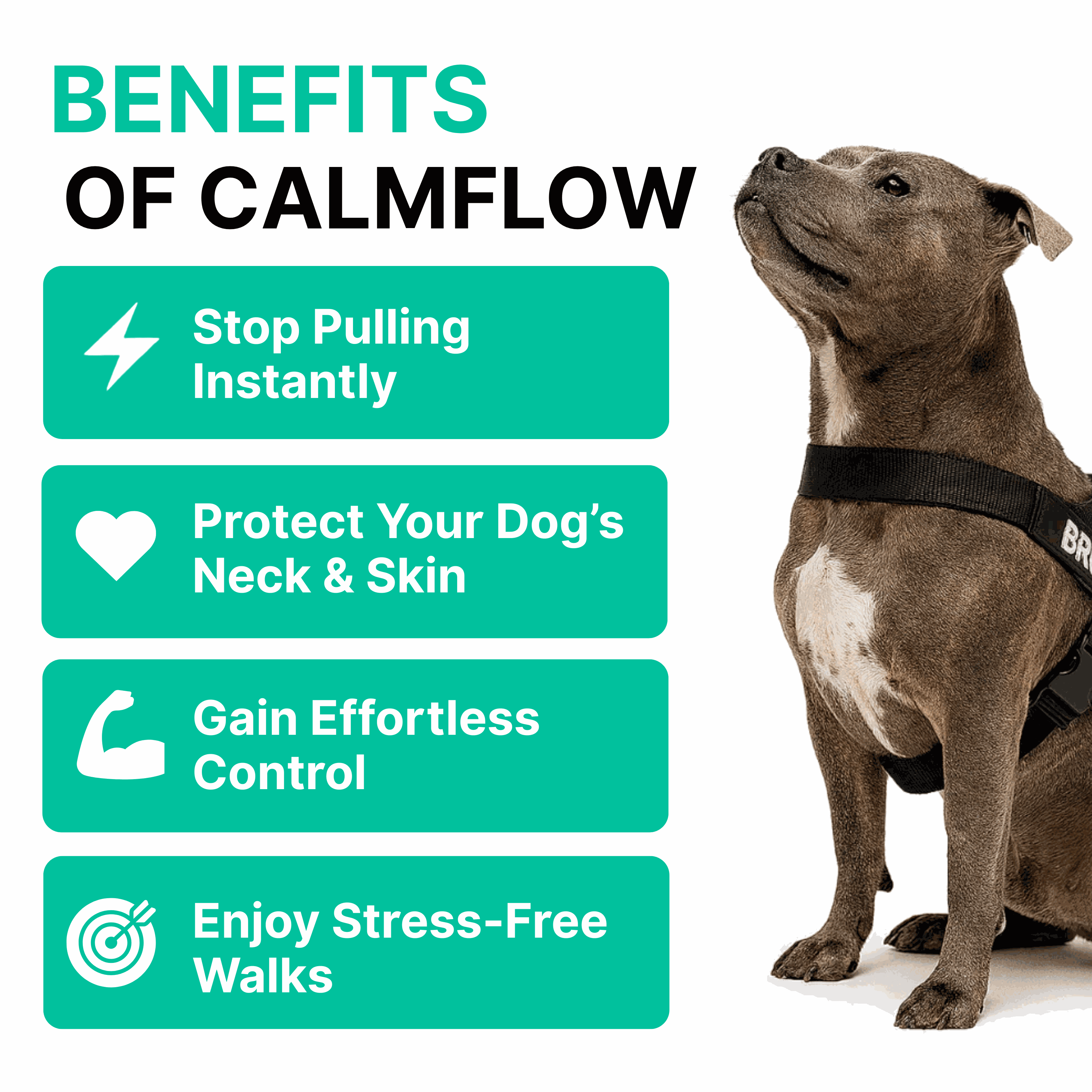 CalmFlow Anti-Pull Dog Harness - Black - Worn By Dog