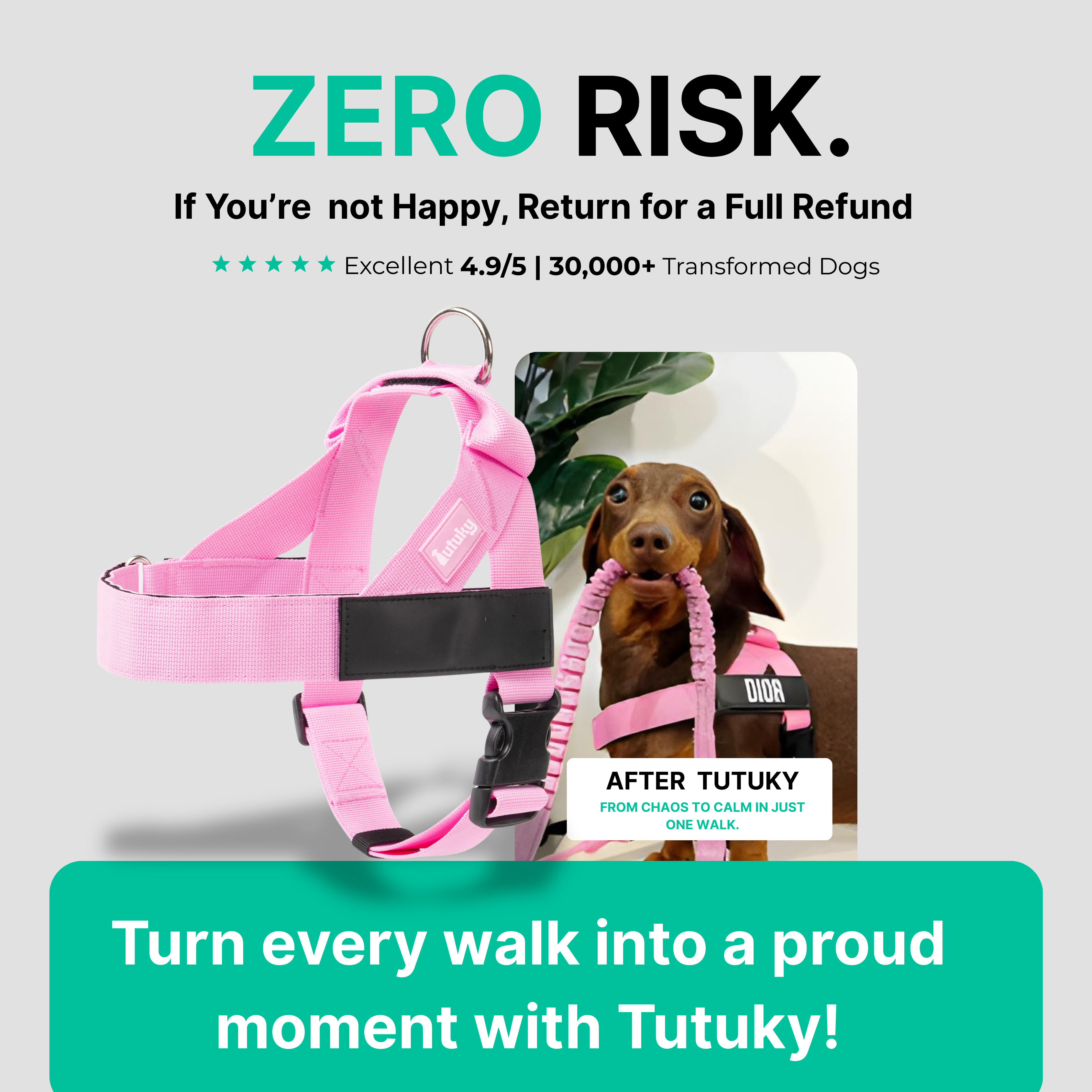 Stops Pulling Instantly – Enjoy Peaceful Walks Again - Tutuky