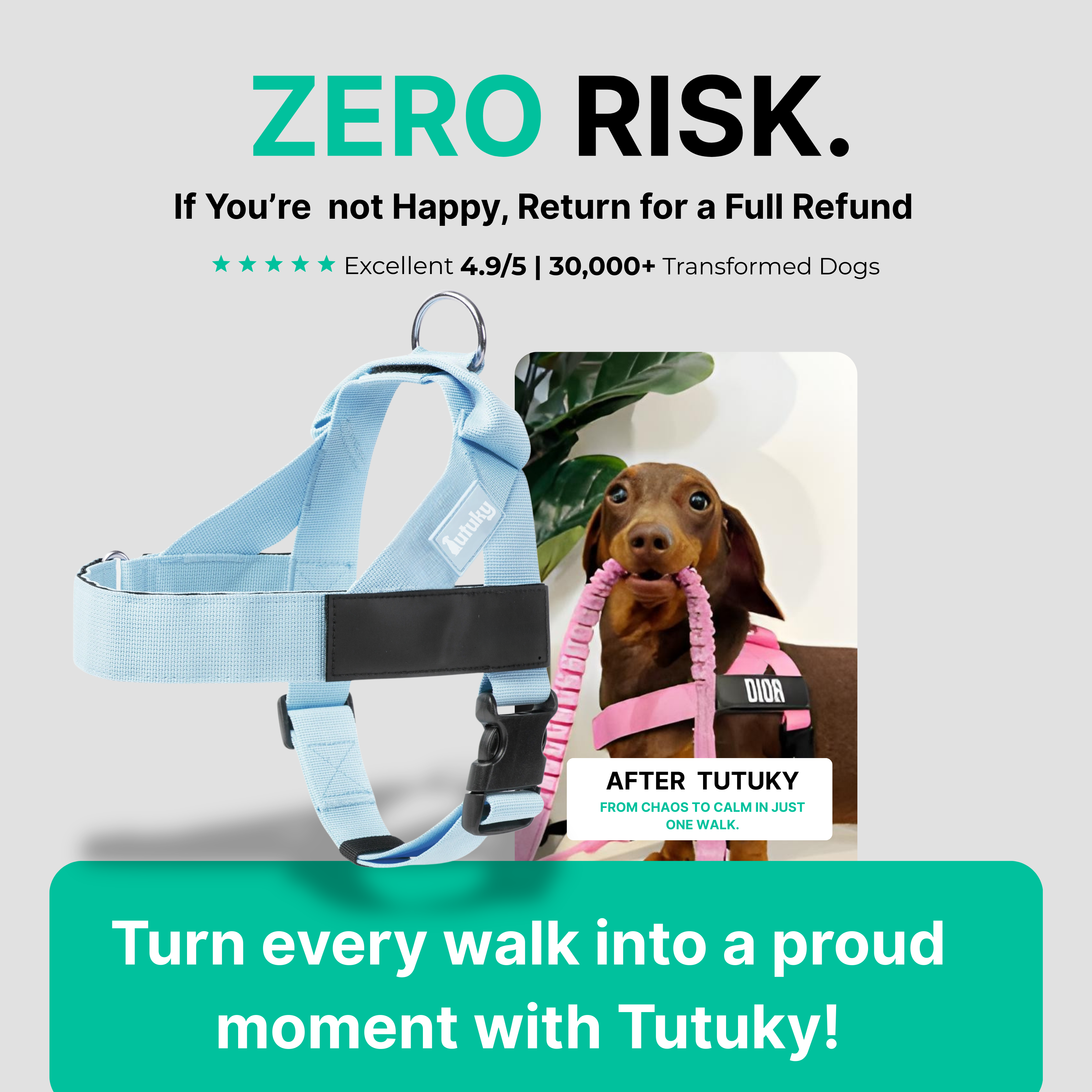 Stops Pulling Instantly – Enjoy Peaceful Walks Again - Tutuky