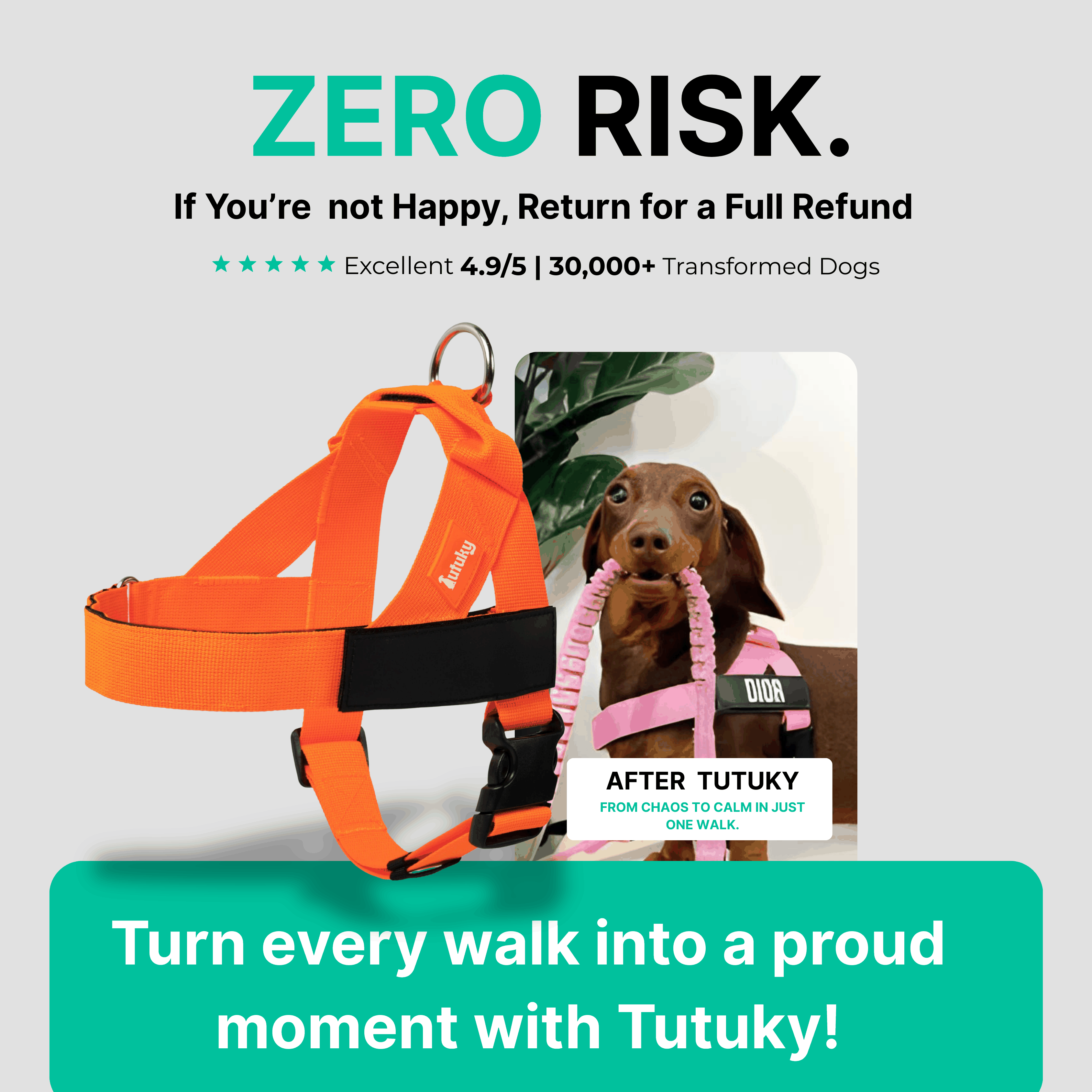Stops Pulling Instantly – Enjoy Peaceful Walks Again - Tutuky