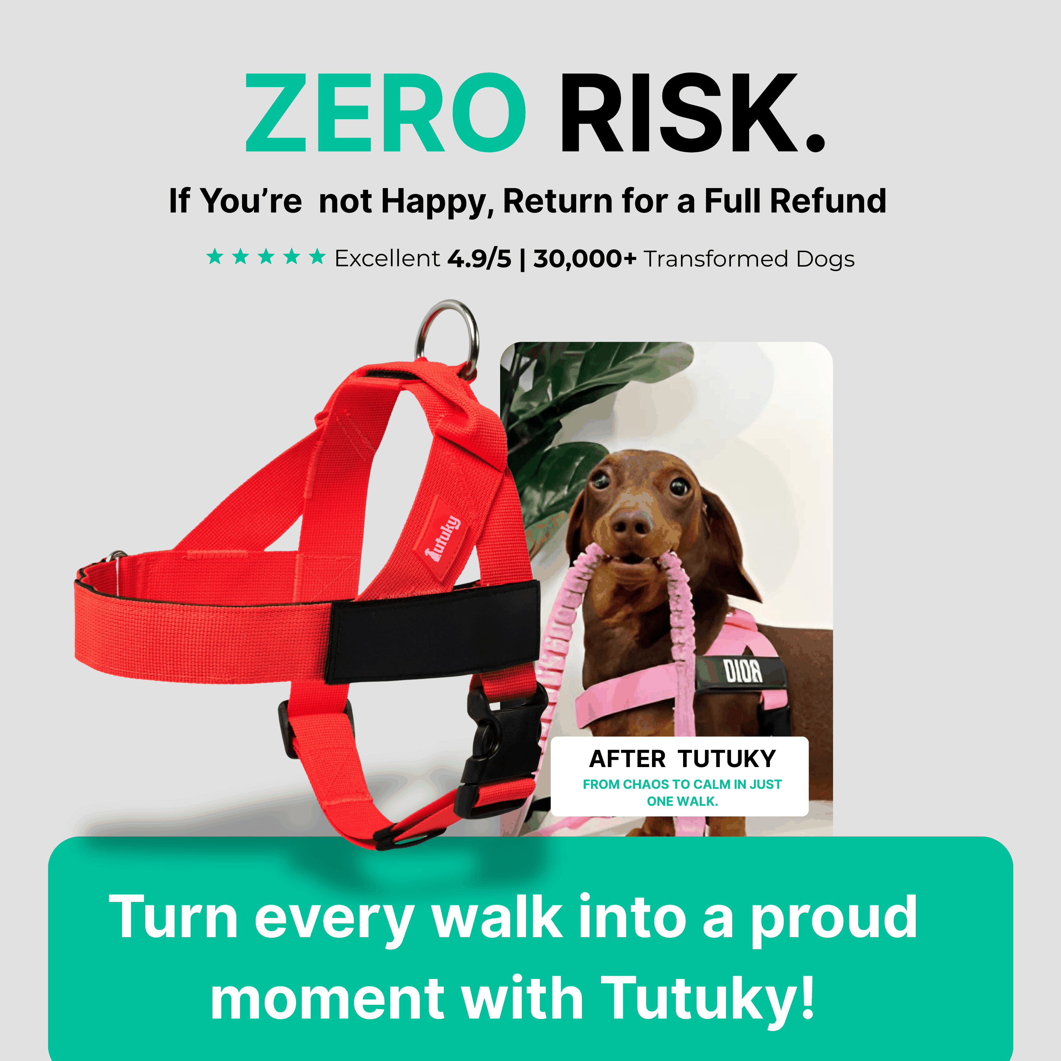 Stops Pulling Instantly – Enjoy Peaceful Walks Again - Tutuky