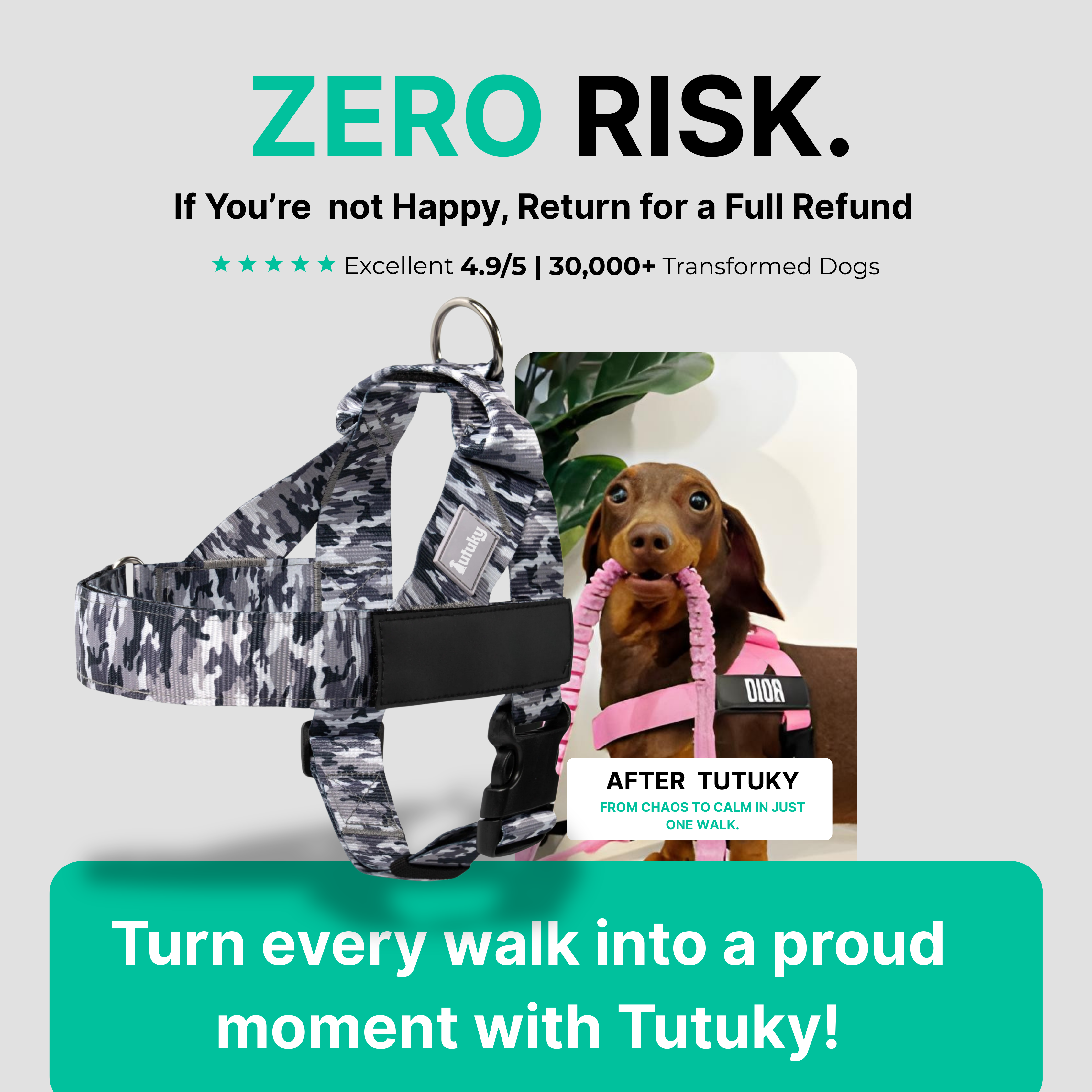 Stops Pulling Instantly – Enjoy Peaceful Walks Again