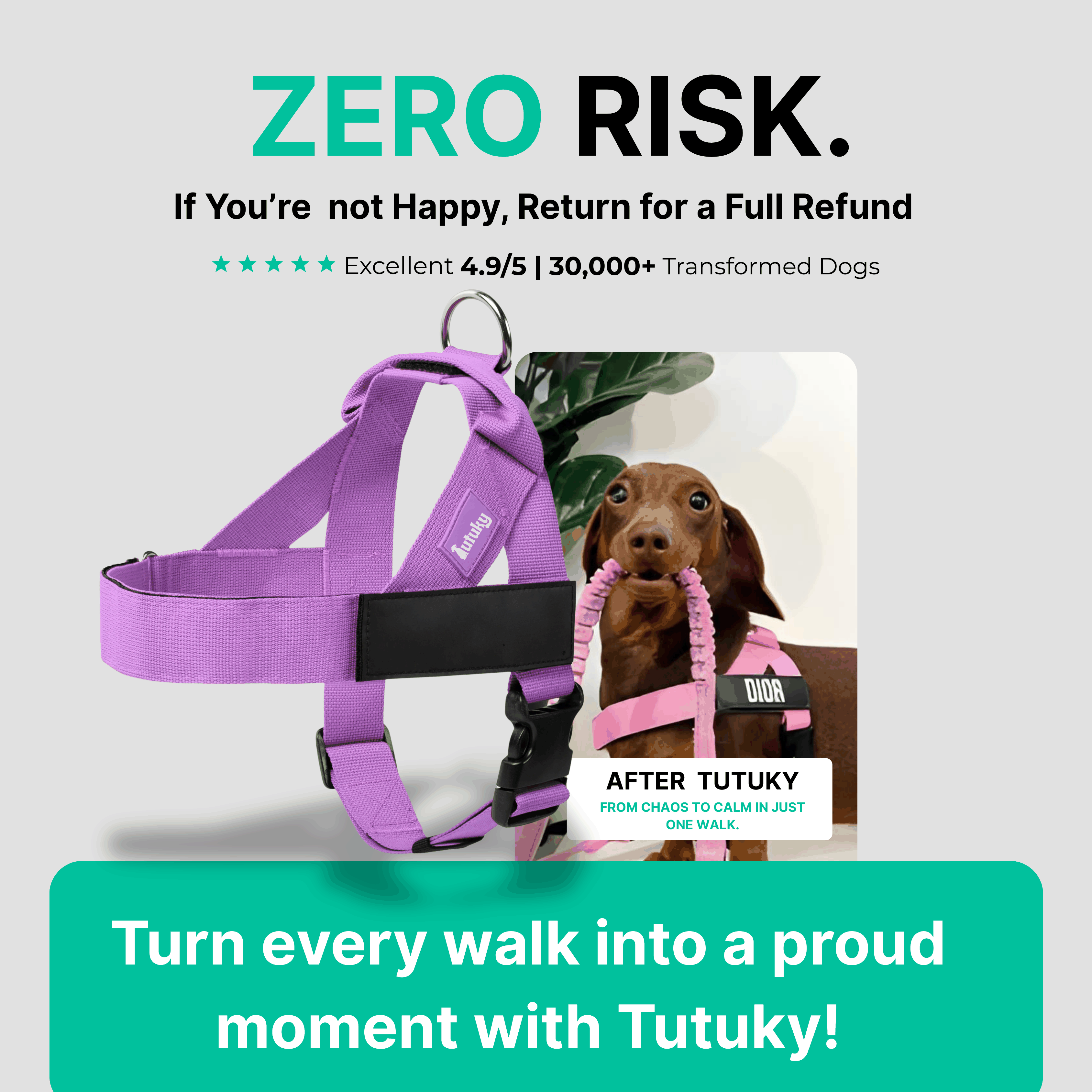 Stops Pulling Instantly – Enjoy Peaceful Walks Again - Tutuky