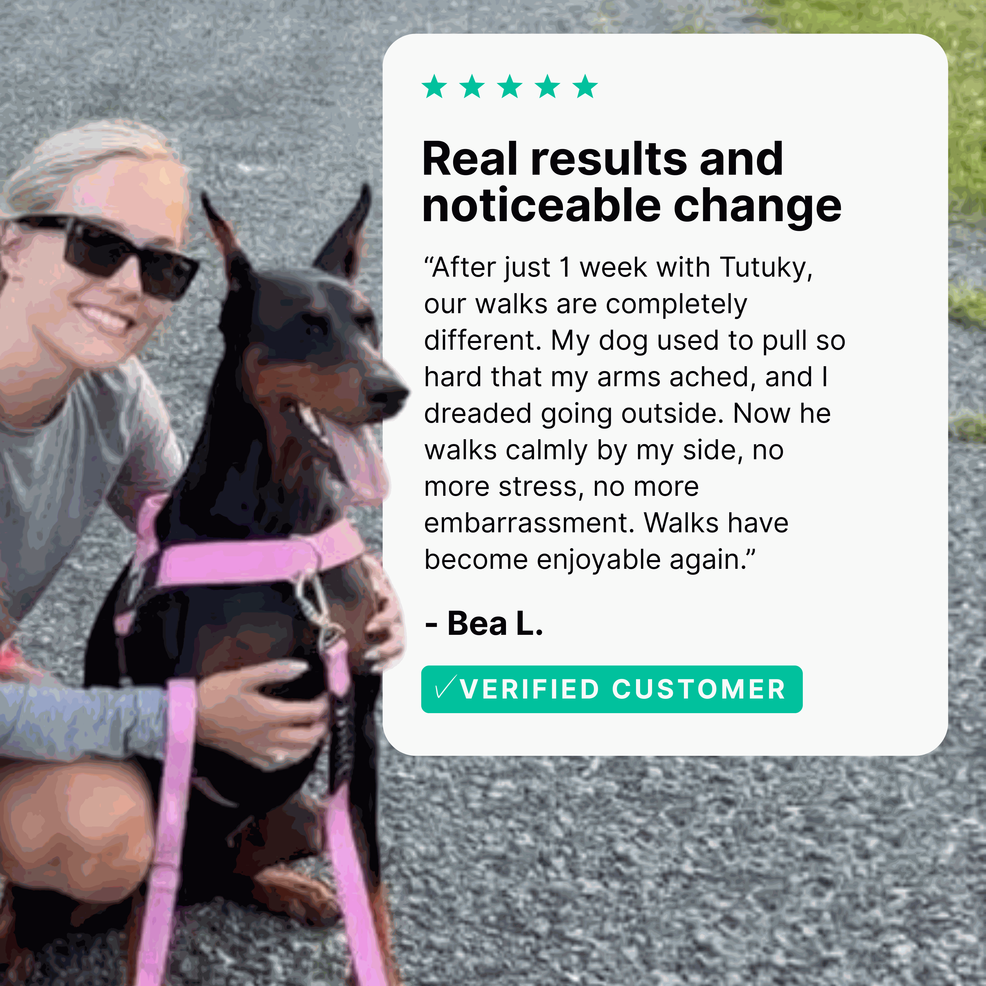 CalmFlow Anti-Pull Dog Harness - Black - Detail View