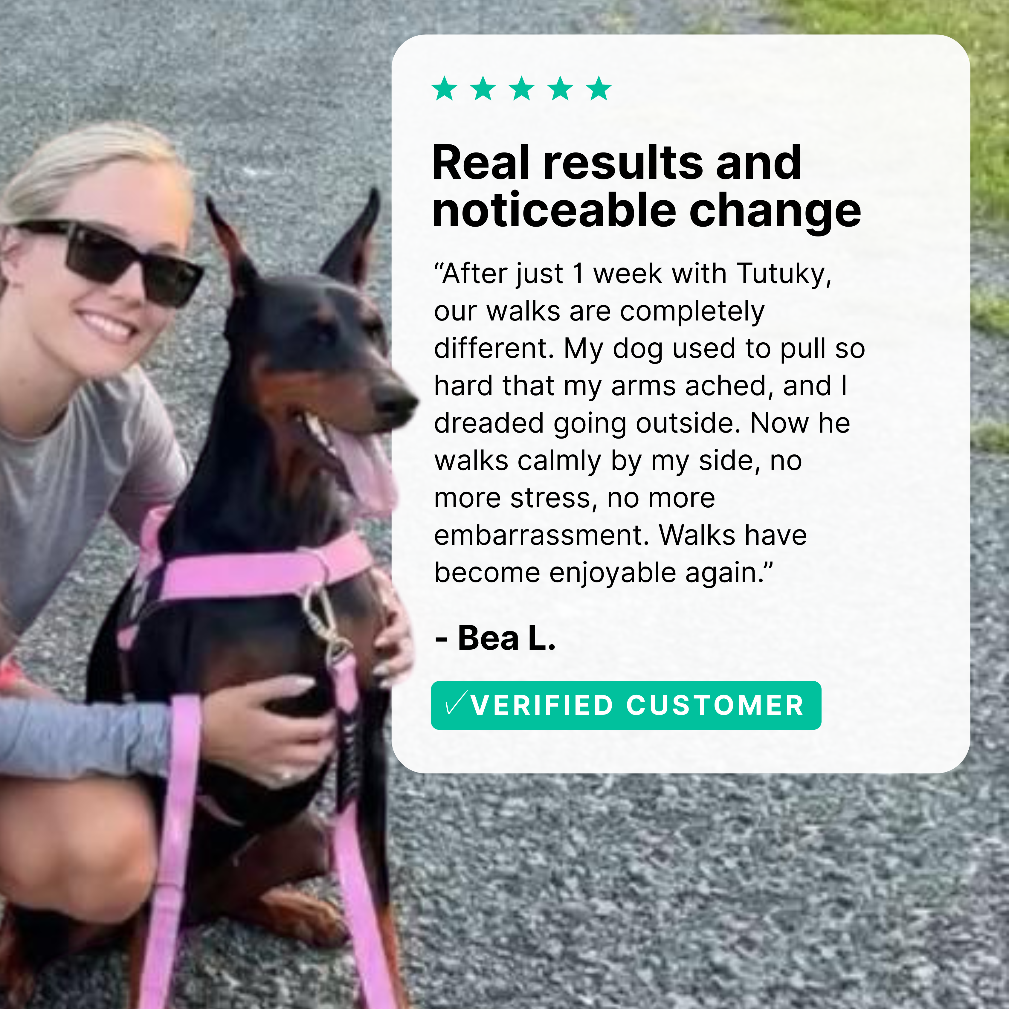 Stops Pulling Instantly – Enjoy Peaceful Walks Again