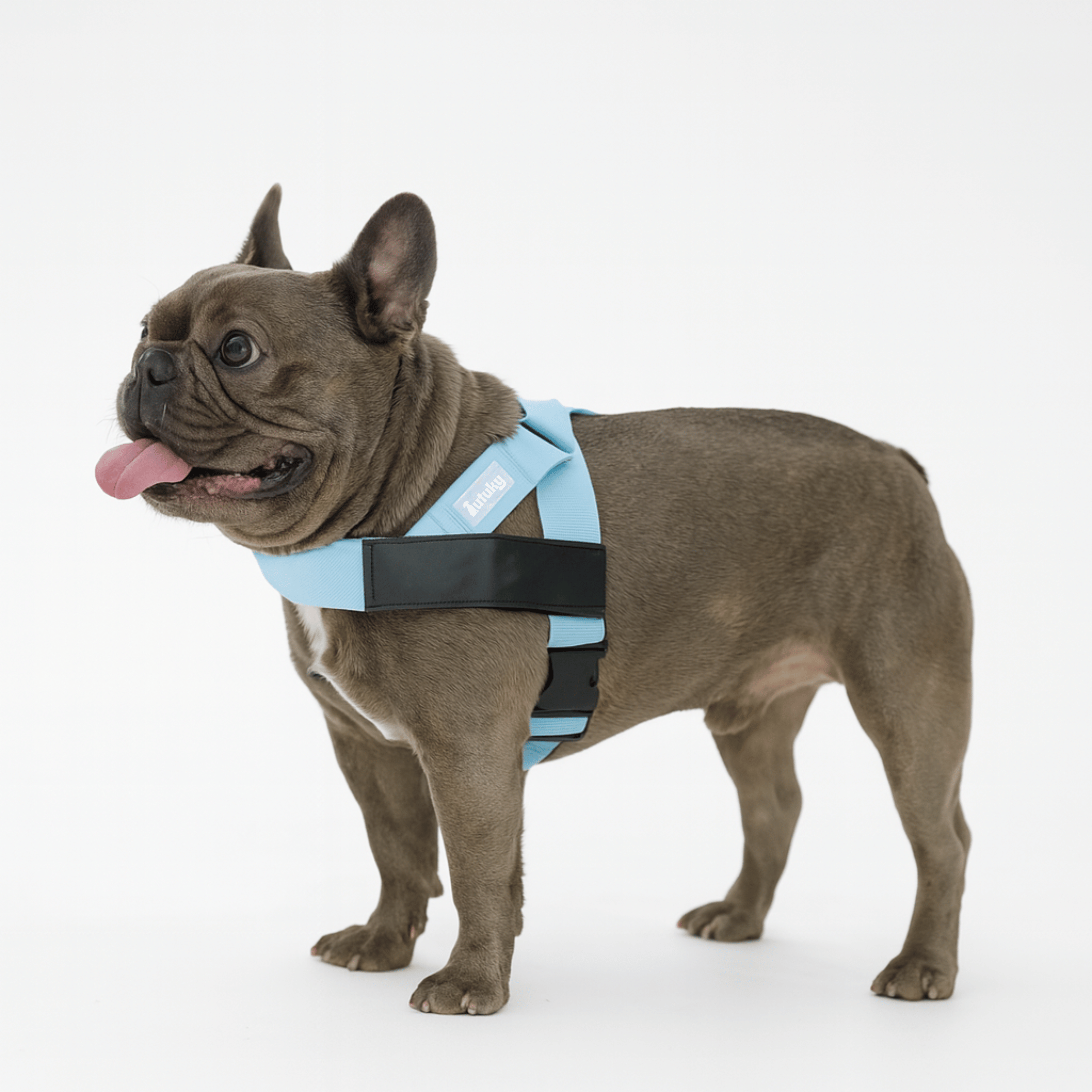 harness- CalmFlow™ Technology- Blue