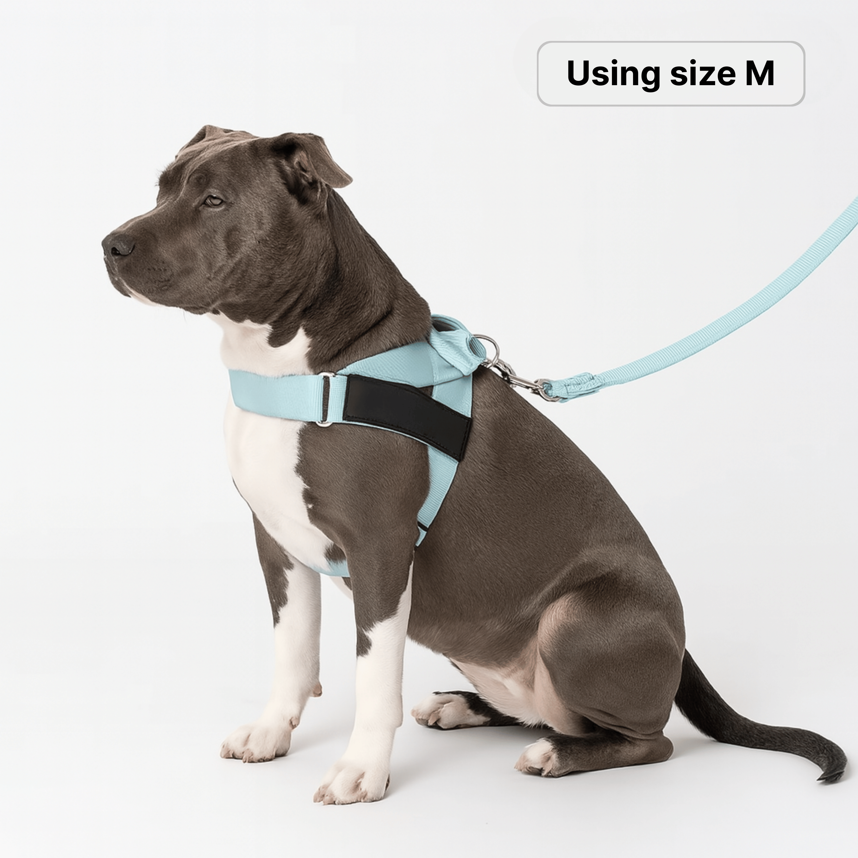 harness- CalmFlow™ Technology- Blue