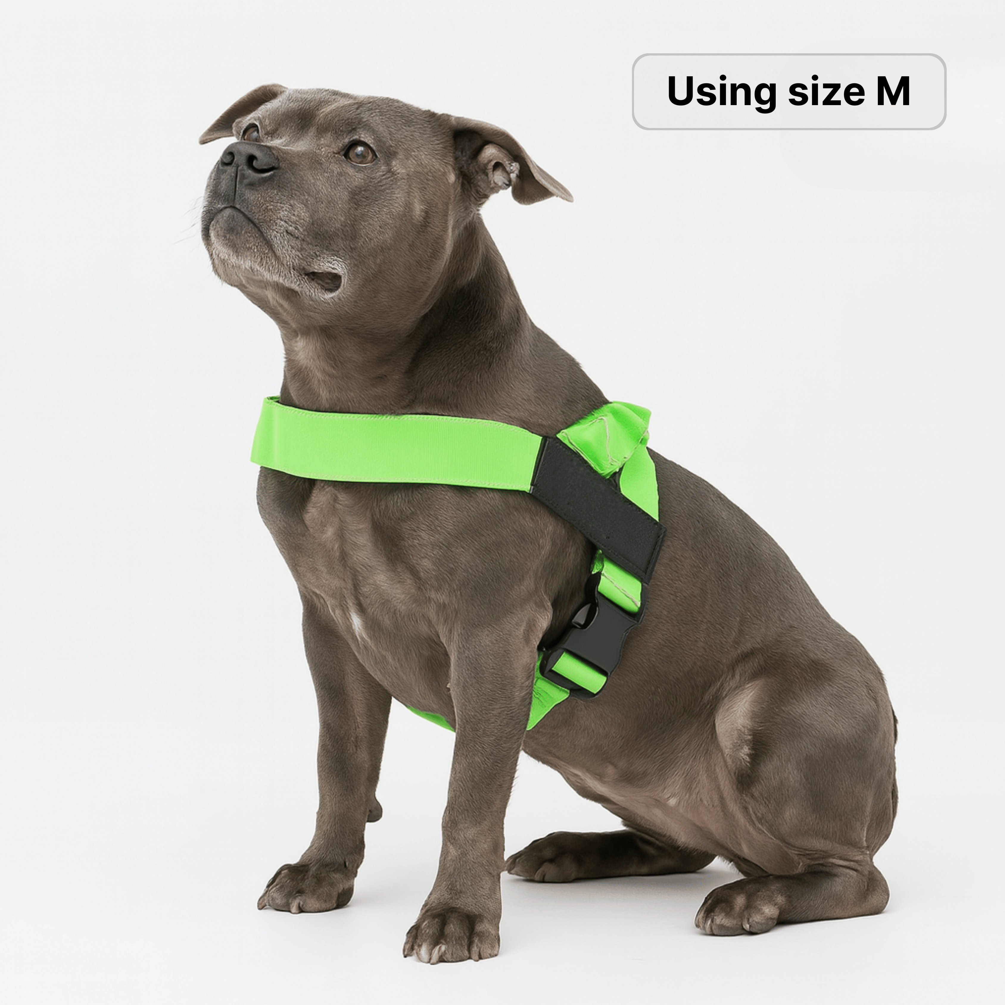 harness- CalmFlow™ Technology- Green