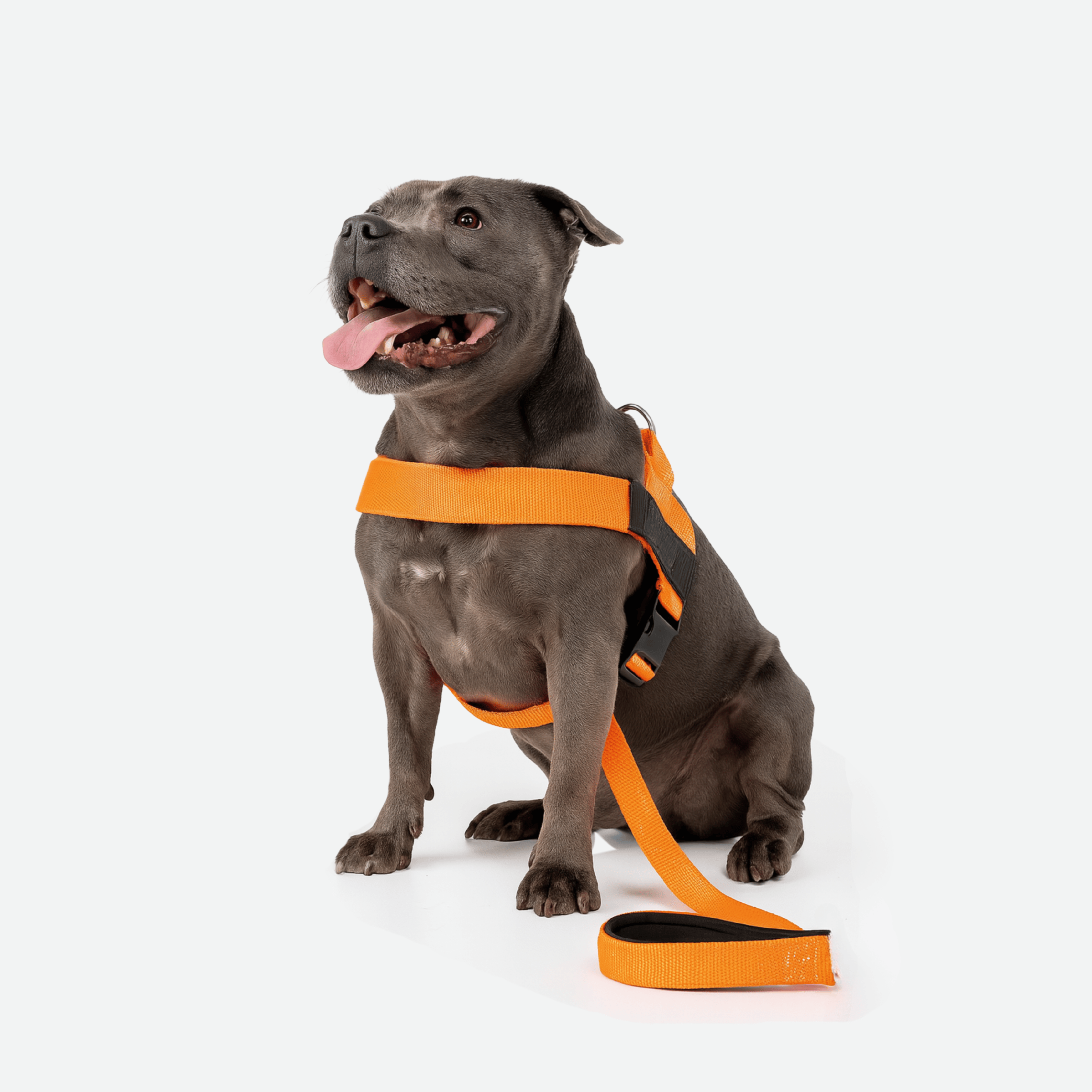 harness- CalmFlow™ Technology- orange