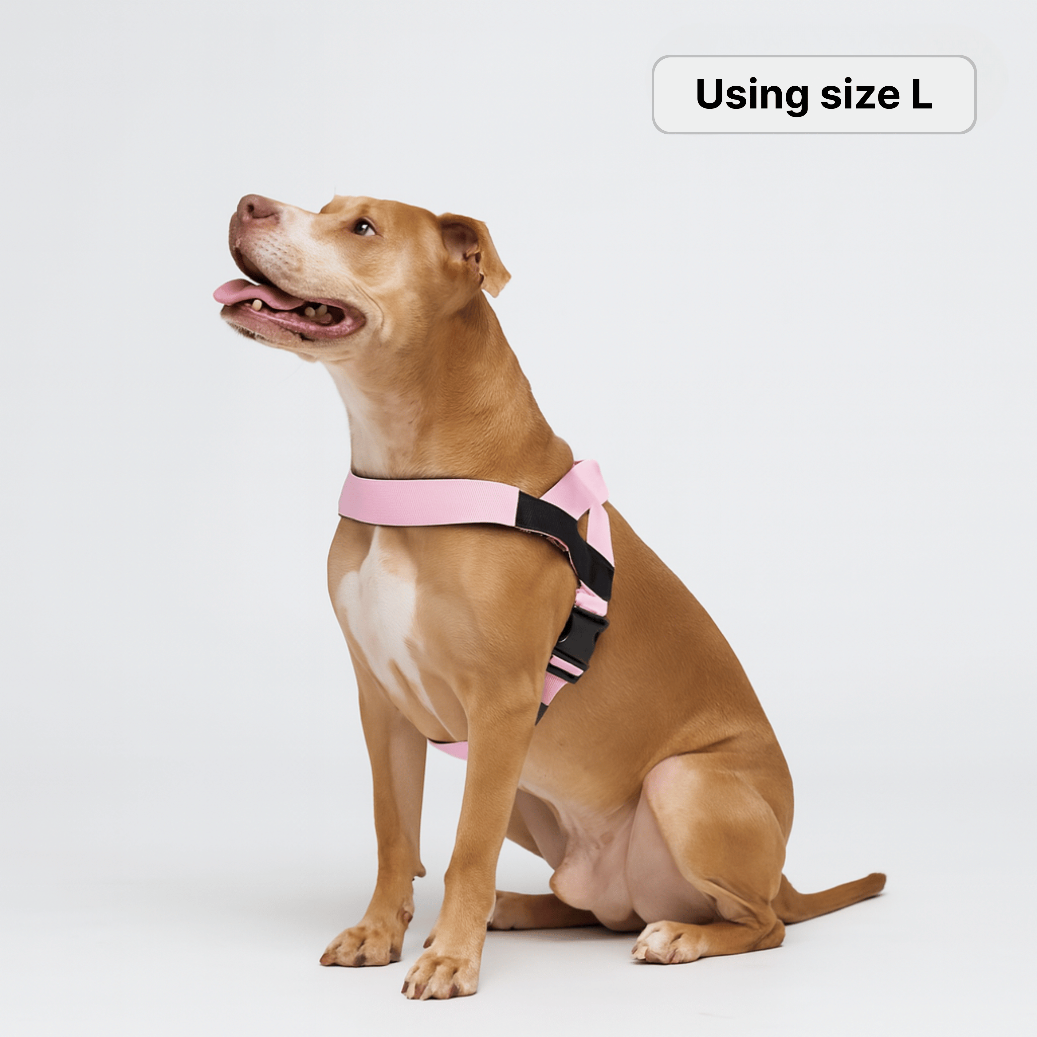 Harnss - CalmFlow™ Technology- Pink