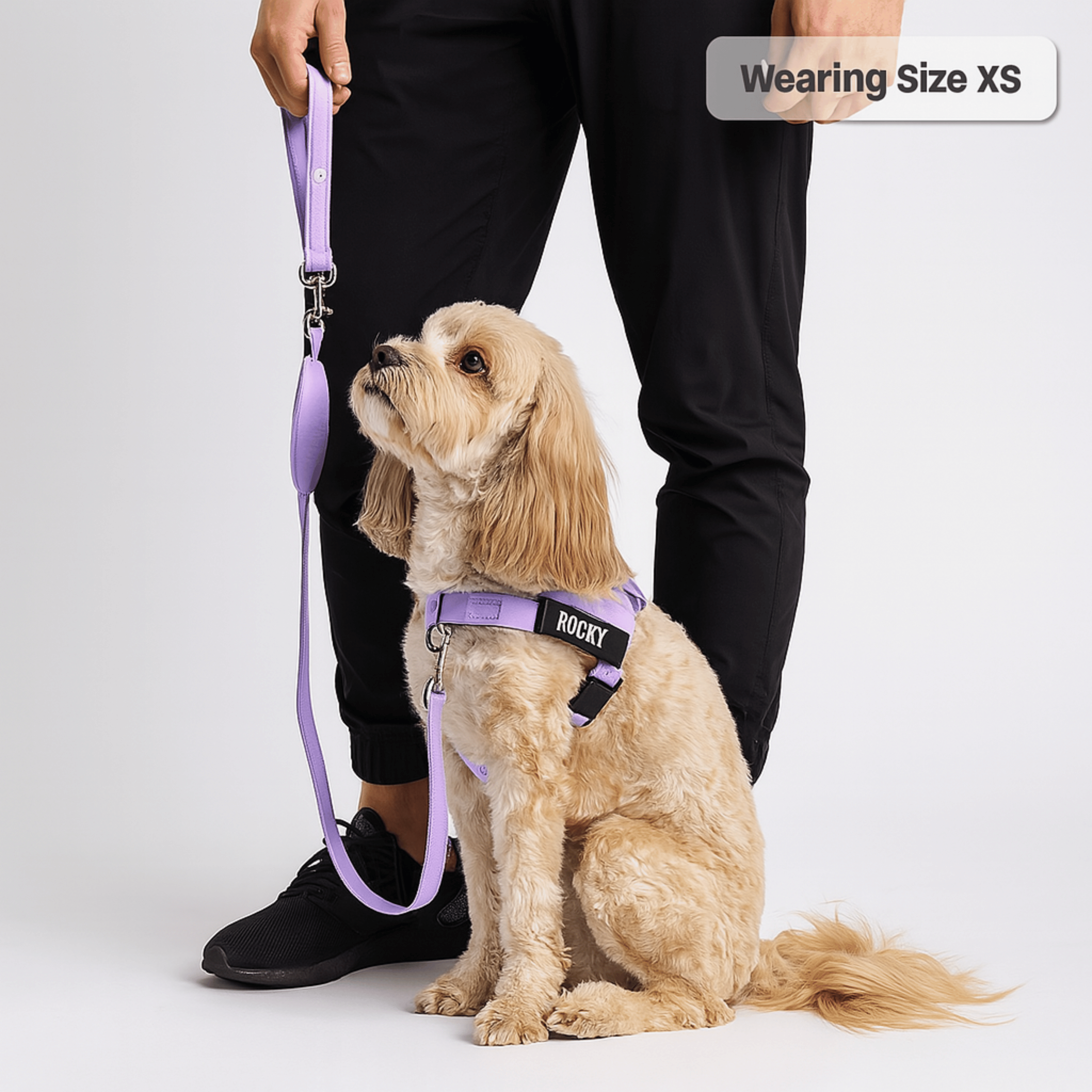 harness- CalmFlow™ Technology- Purple