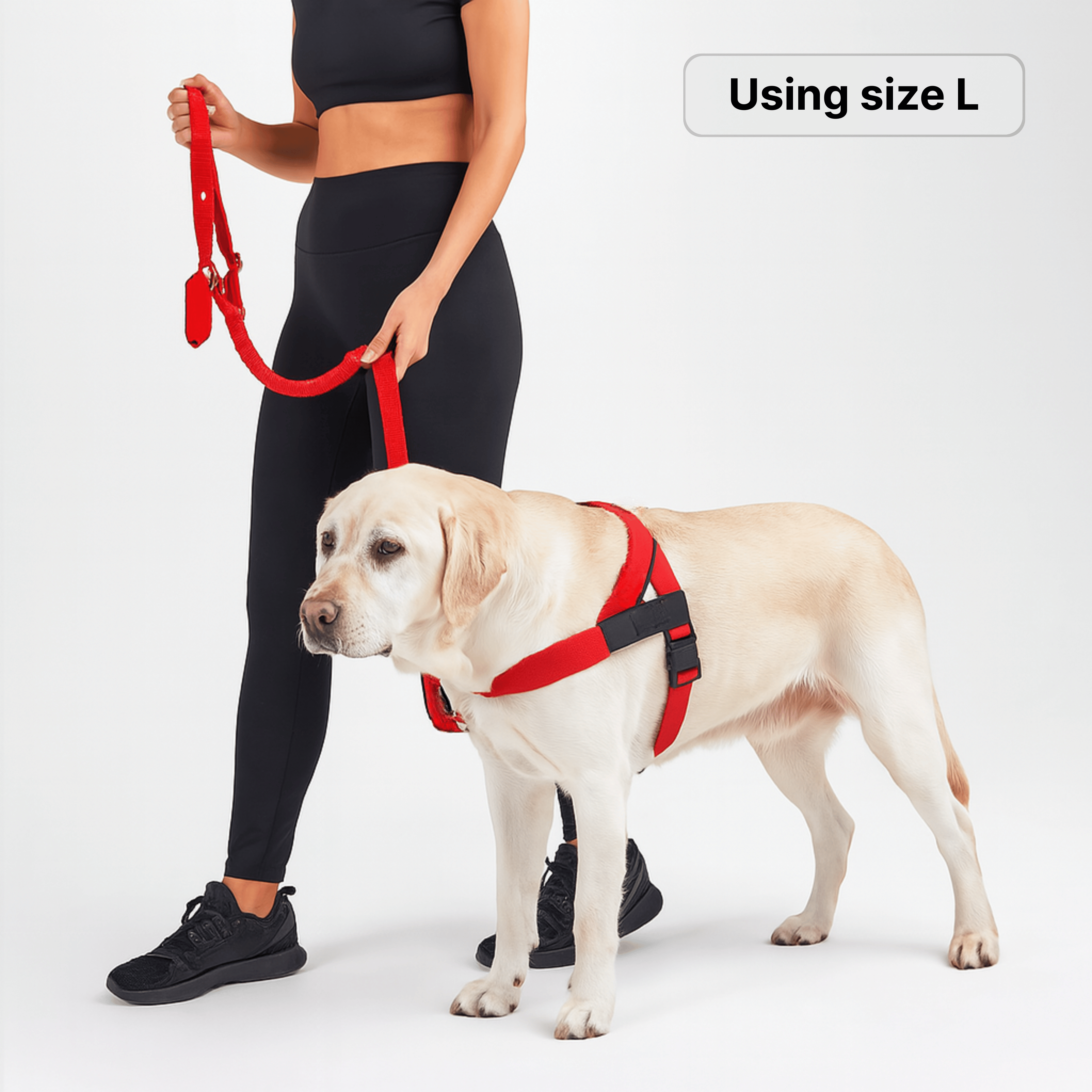 harness- CalmFlow™ Technology- red