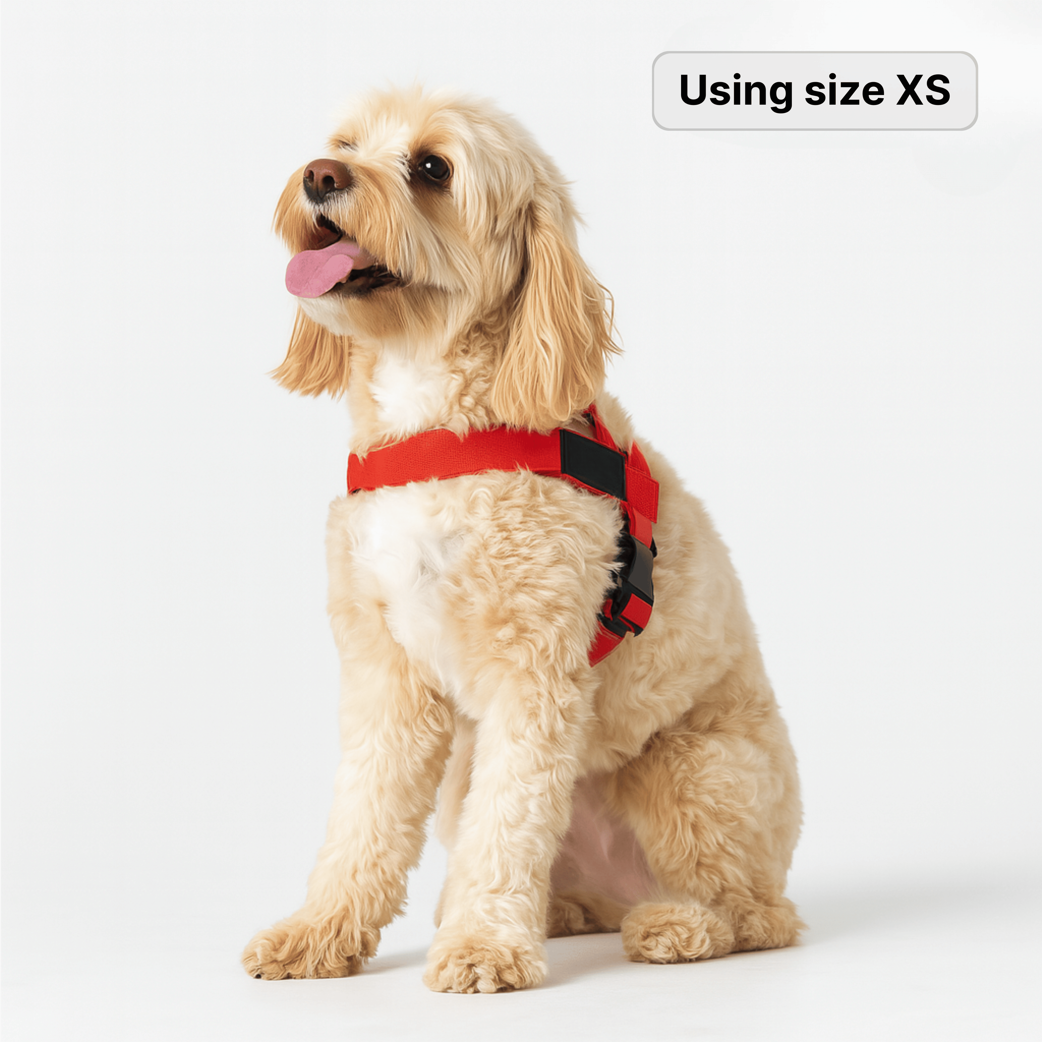 harness- CalmFlow™ Technology- red