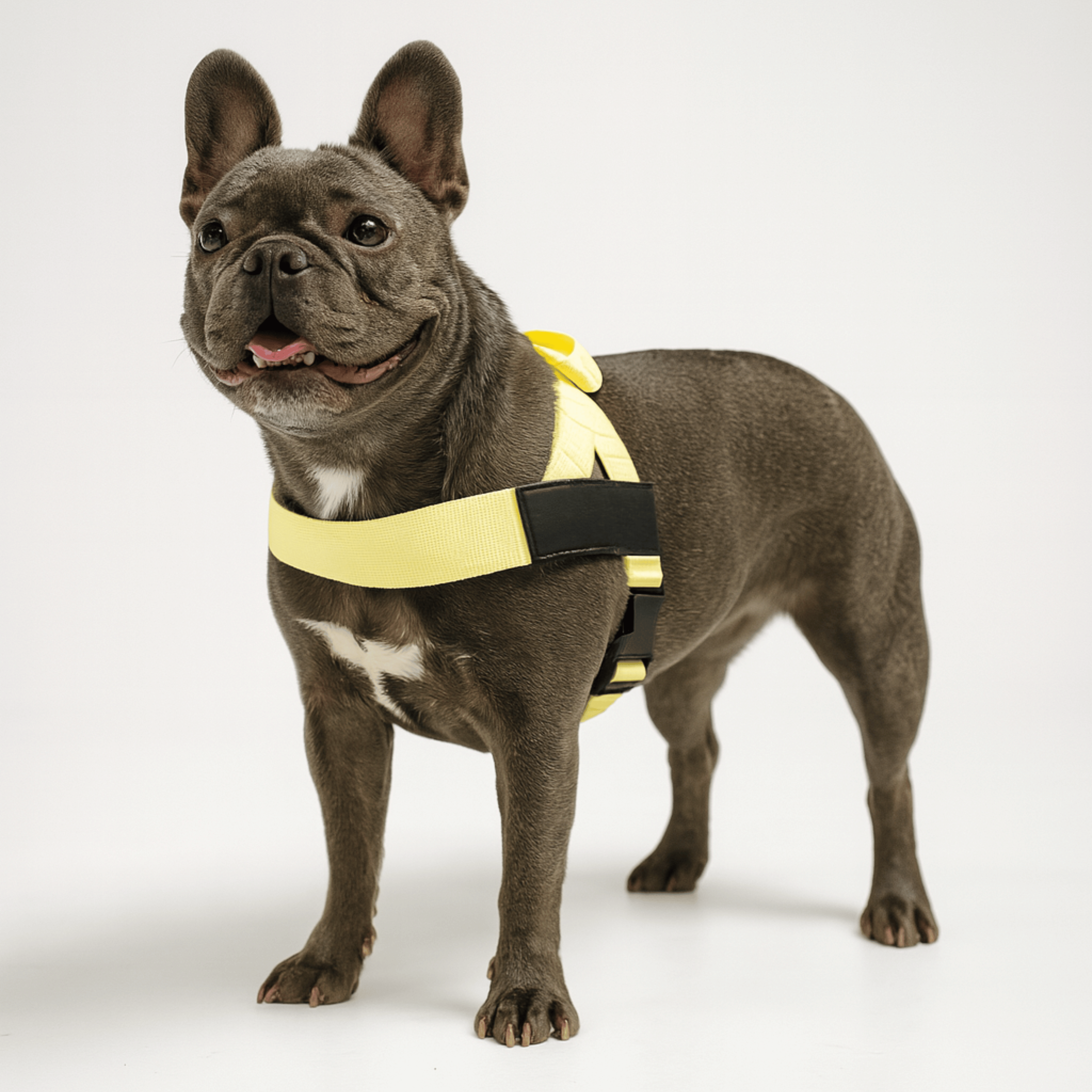 harness- CalmFlow™ Technology- Yellow