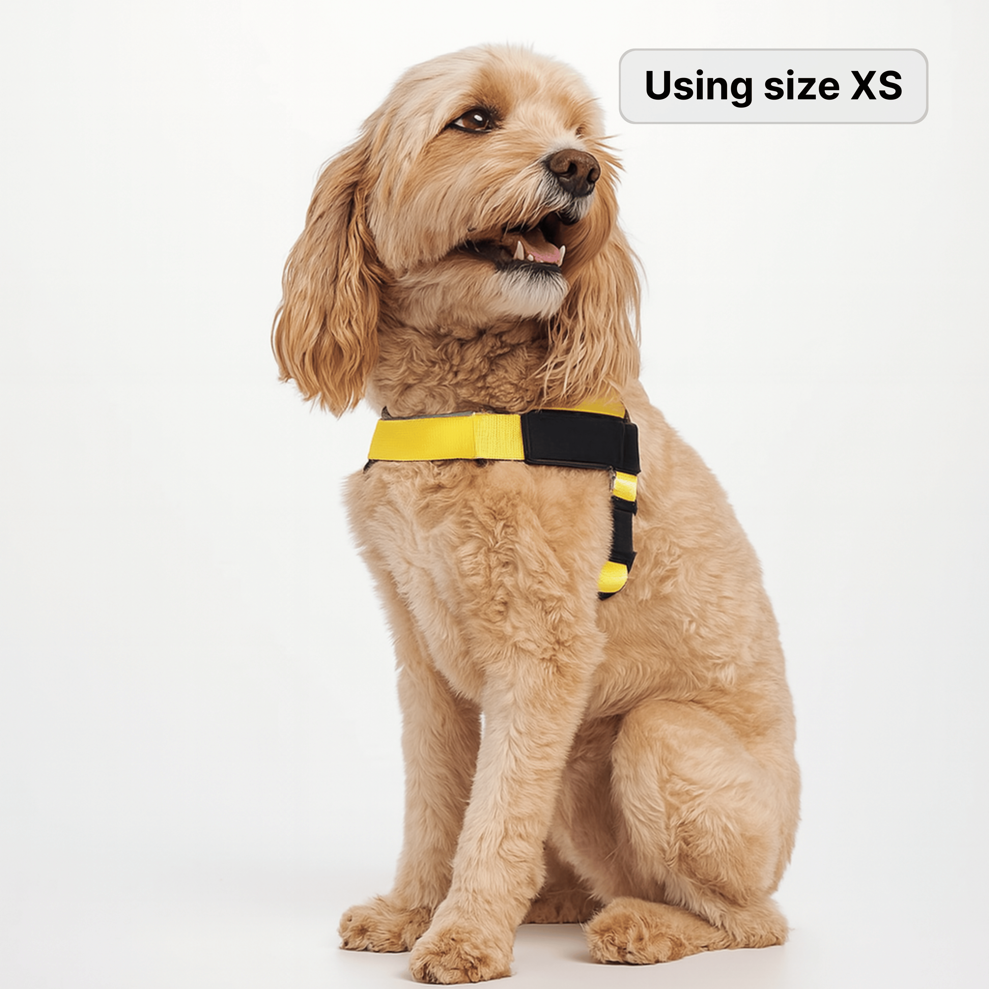 harness- CalmFlow™ Technology- Yellow