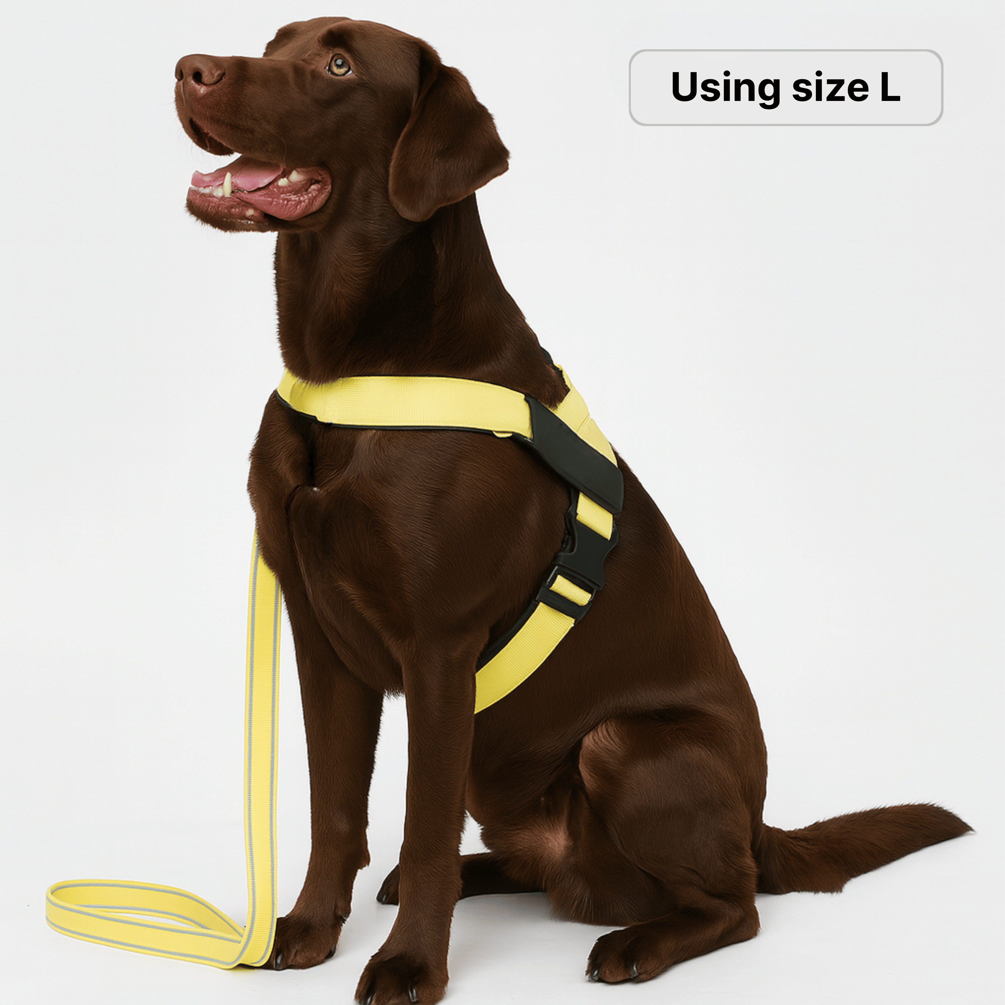 harness- CalmFlow™ Technology- Yellow