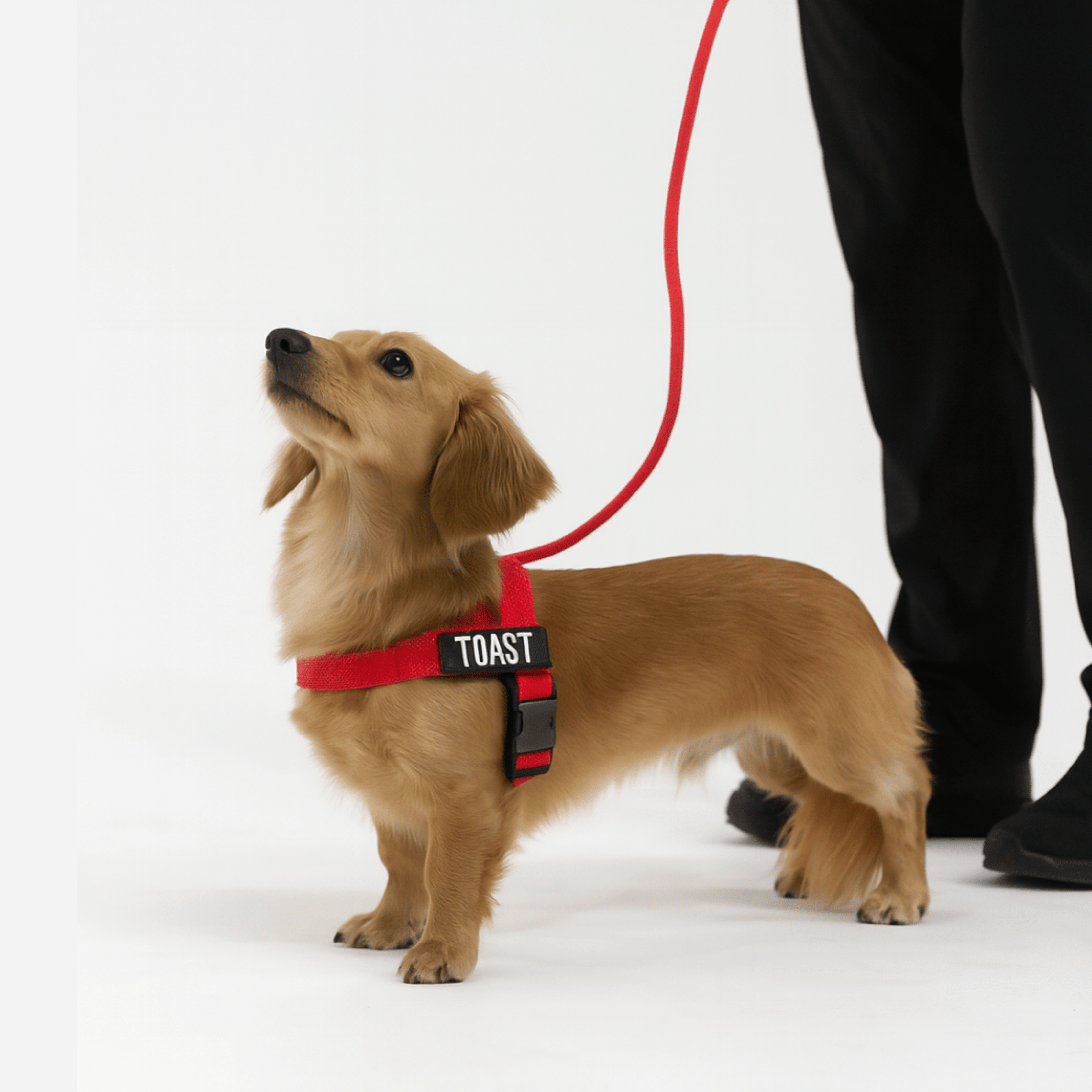 harness- CalmFlow™ Technology- red