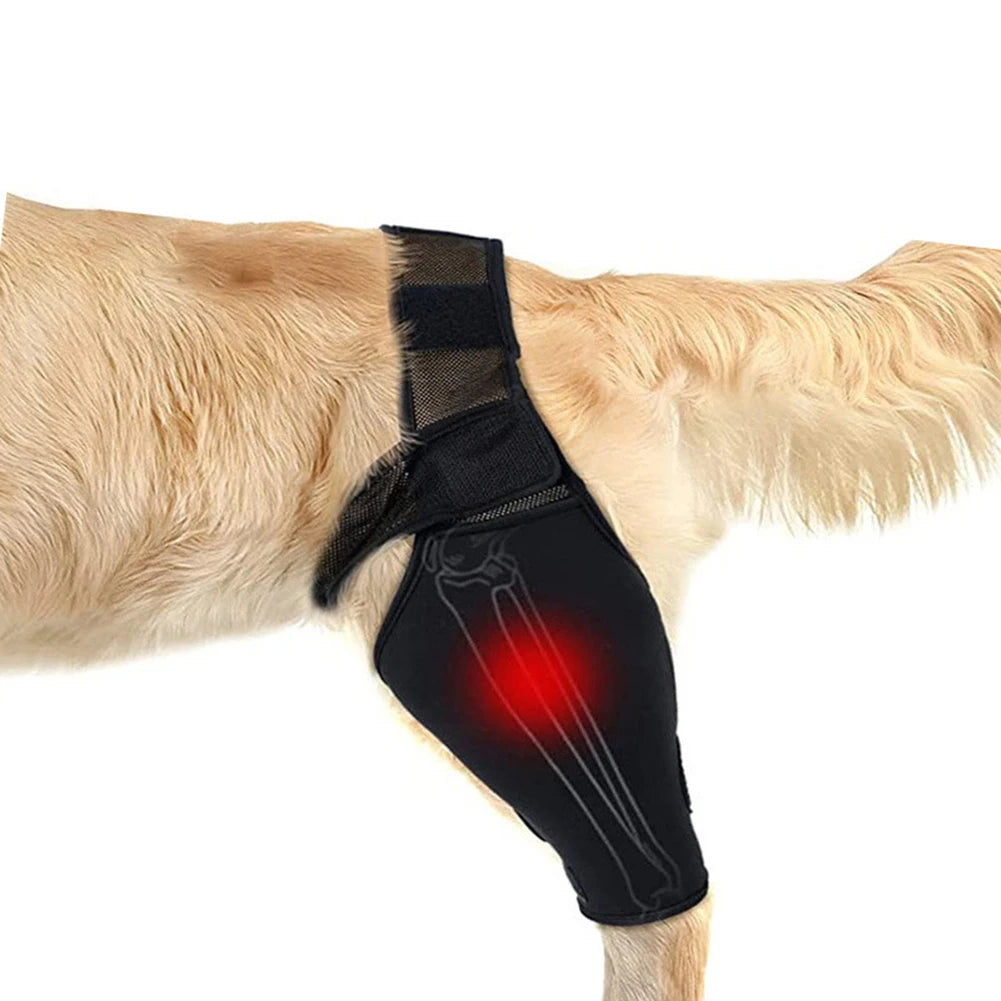 Universal Dog Hip & Knee Brace - Tutuky