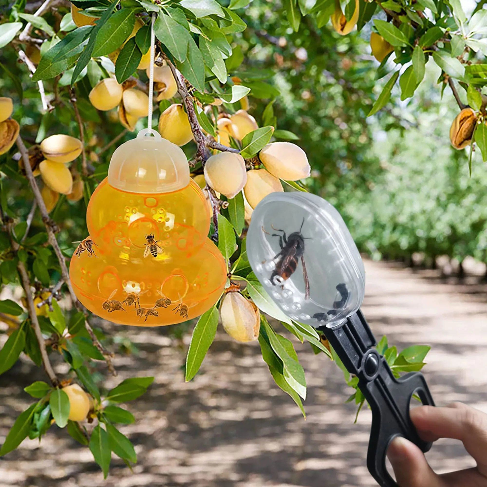 Beekeeper Reptile Feeding - Tutuky
