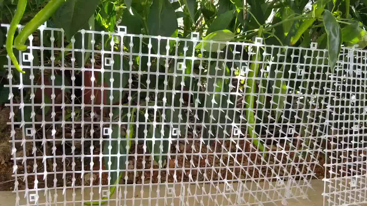78.74 Inch Anti-Cat Thorn Net - Tutuky