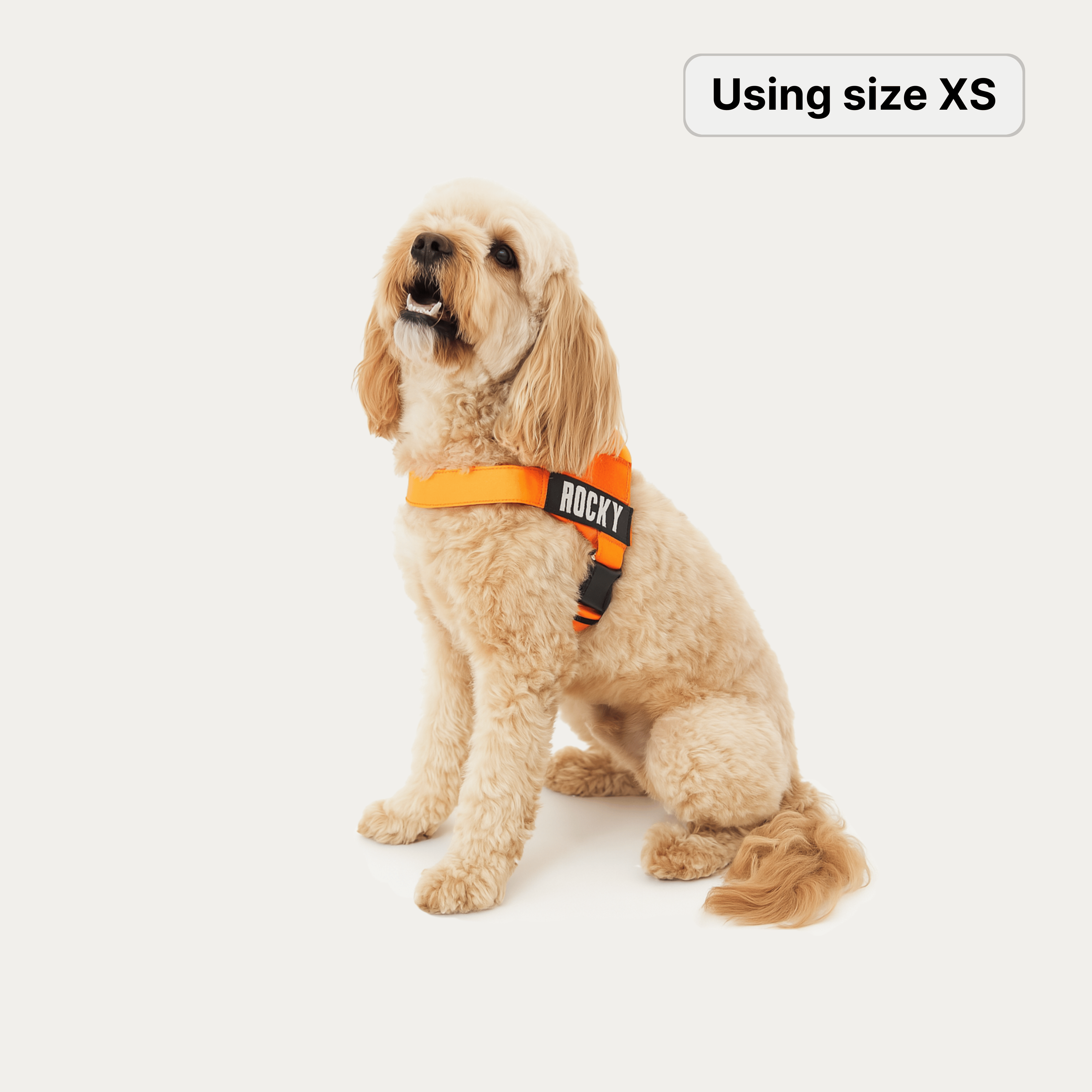 harness- CalmFlow™ Technology- orange