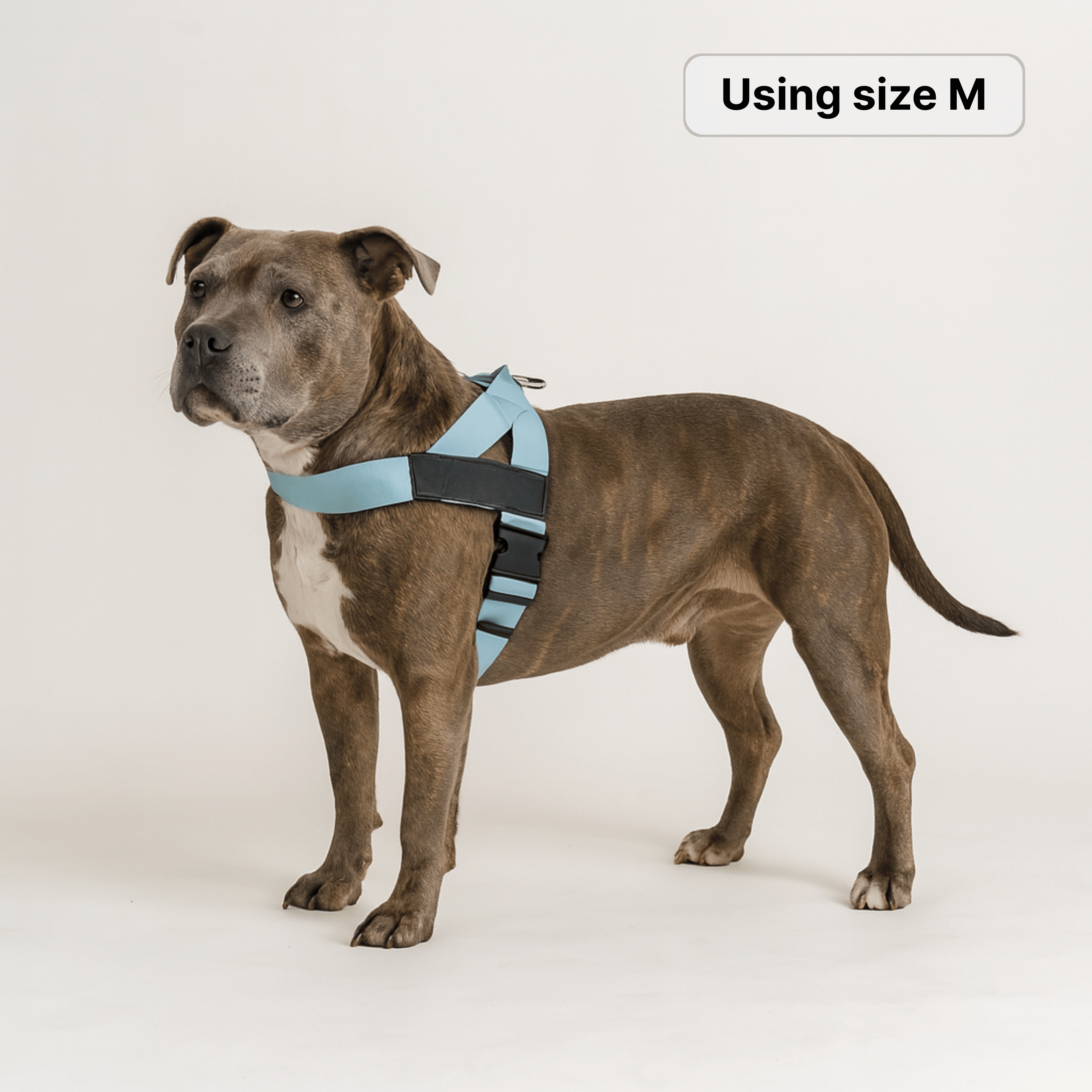 harness- CalmFlow™ Technology- Blue