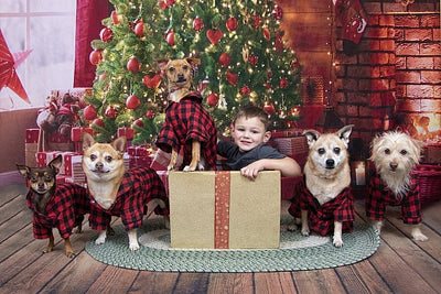 Tips for Keeping Your Pets Safe and Happy During the Christmas Holidays