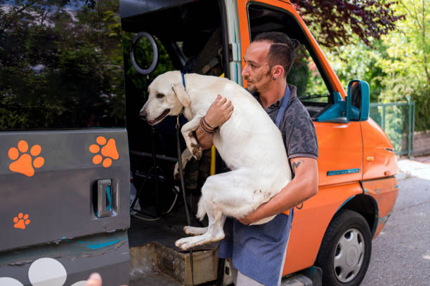 The Ultimate Guide to Pet Sitting Services: Find the Best Care for Your Furry Friends