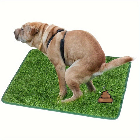 Reusable Pet Training Lawn - Tutuky