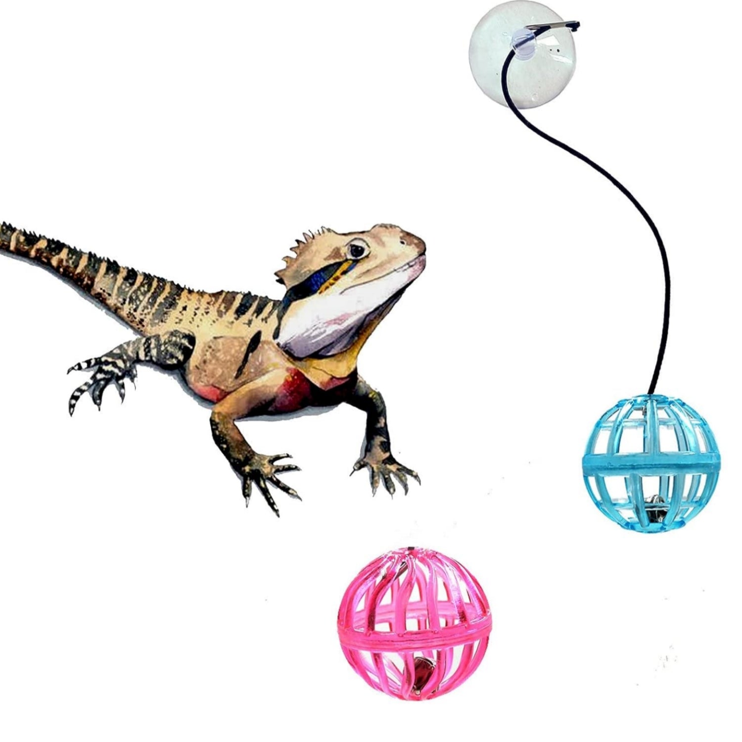 Reptile Lizard Toy Ball With Suction Cup And Rope - Tutuky