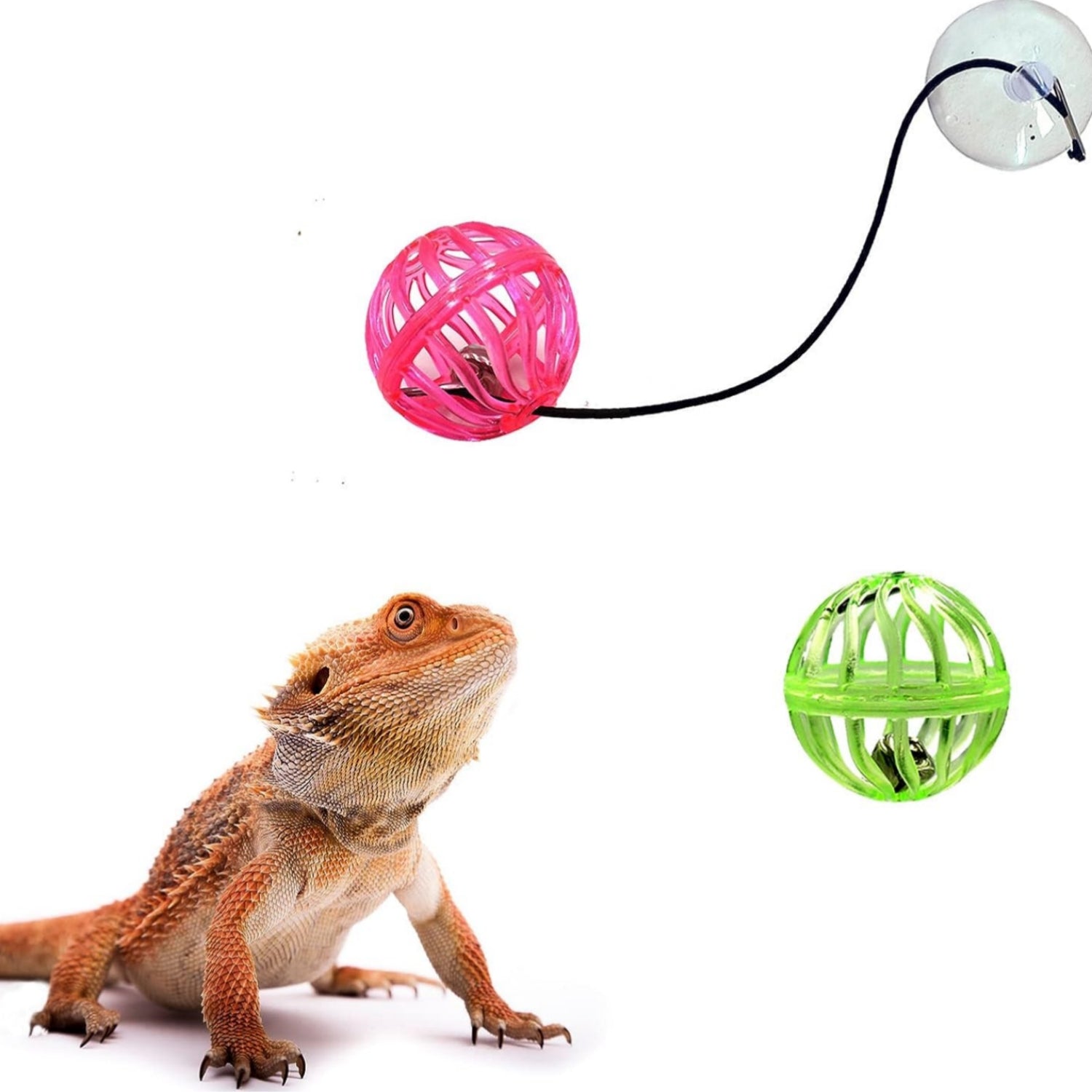 Reptile Lizard Toy Ball With Suction Cup And Rope - Tutuky