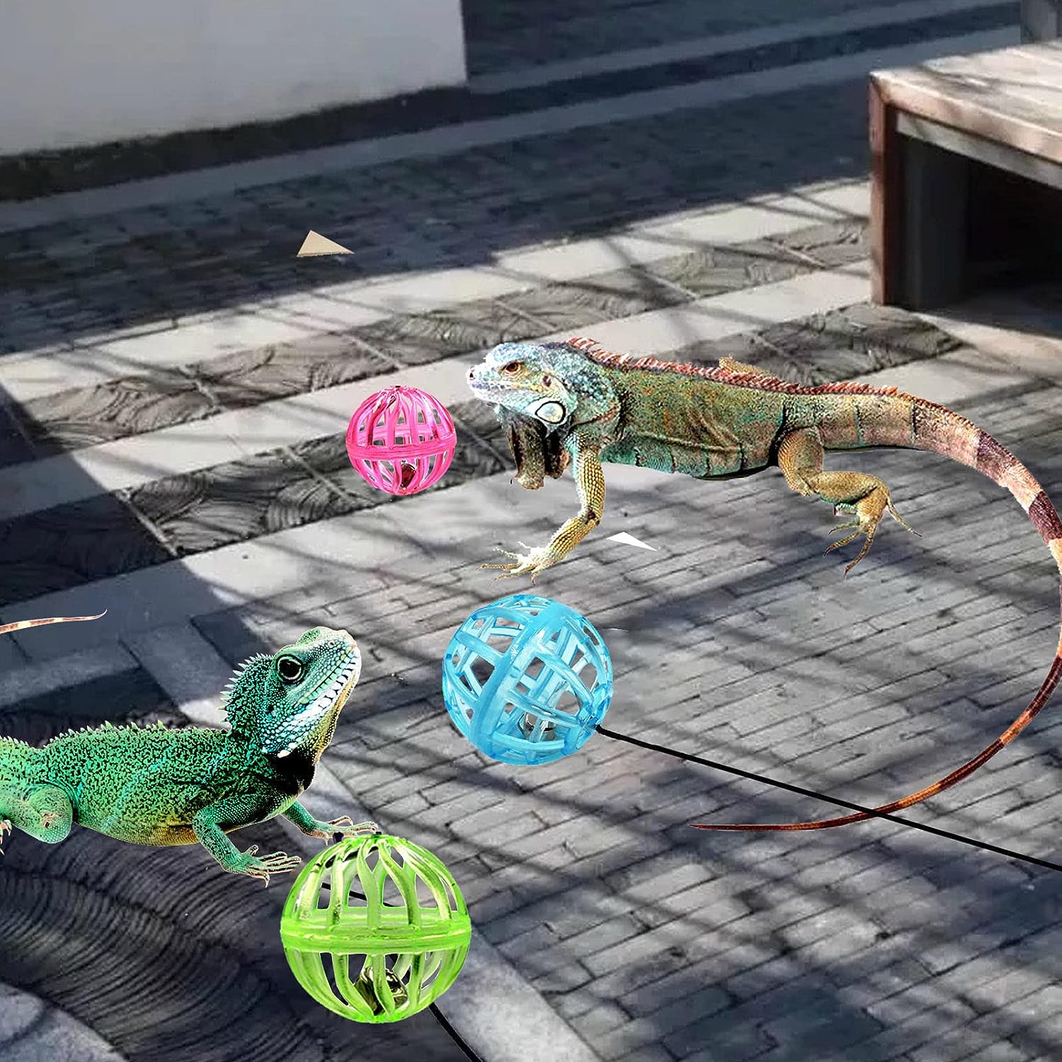 Reptile Lizard Toy Ball With Suction Cup And Rope - Tutuky