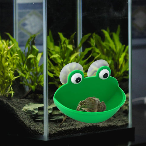 Frog Habitat Wall Hanging Dish Holder - Tutuky