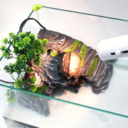 Creative Turtle Basking Platform with Detachable Green Plant Decor - Tutuky