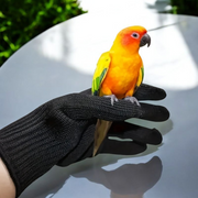 2-Pack Durable PE Bird Handling Gloves – Anti-Bite & Cut-Resistant for Parrots - Tutuky