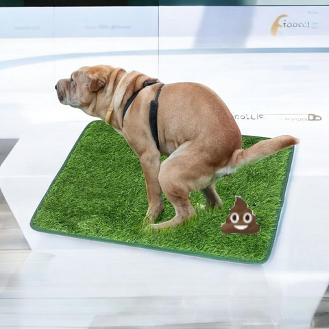 Artificial Grass Dog Potty Pad - Tutuky