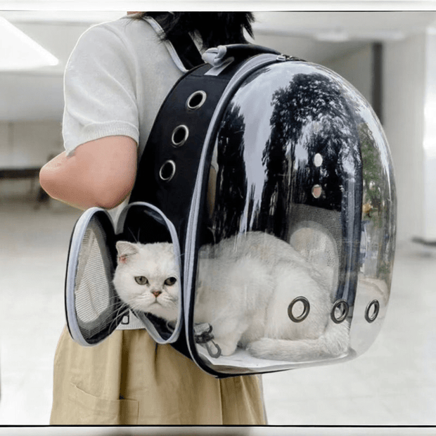 Cat  Breathable Backpack - Tutuky