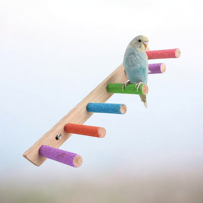 Durable Wooden Parrot Chew and Paw Grinding Rod – Perfect Bird Cage Perch! - Tutuky