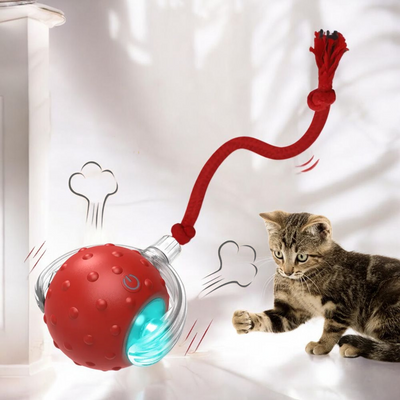 Interactive ball with string for cats - Tutuky